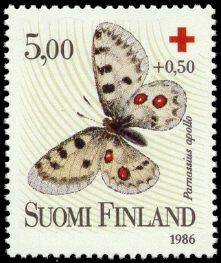 Parnassius apollo
