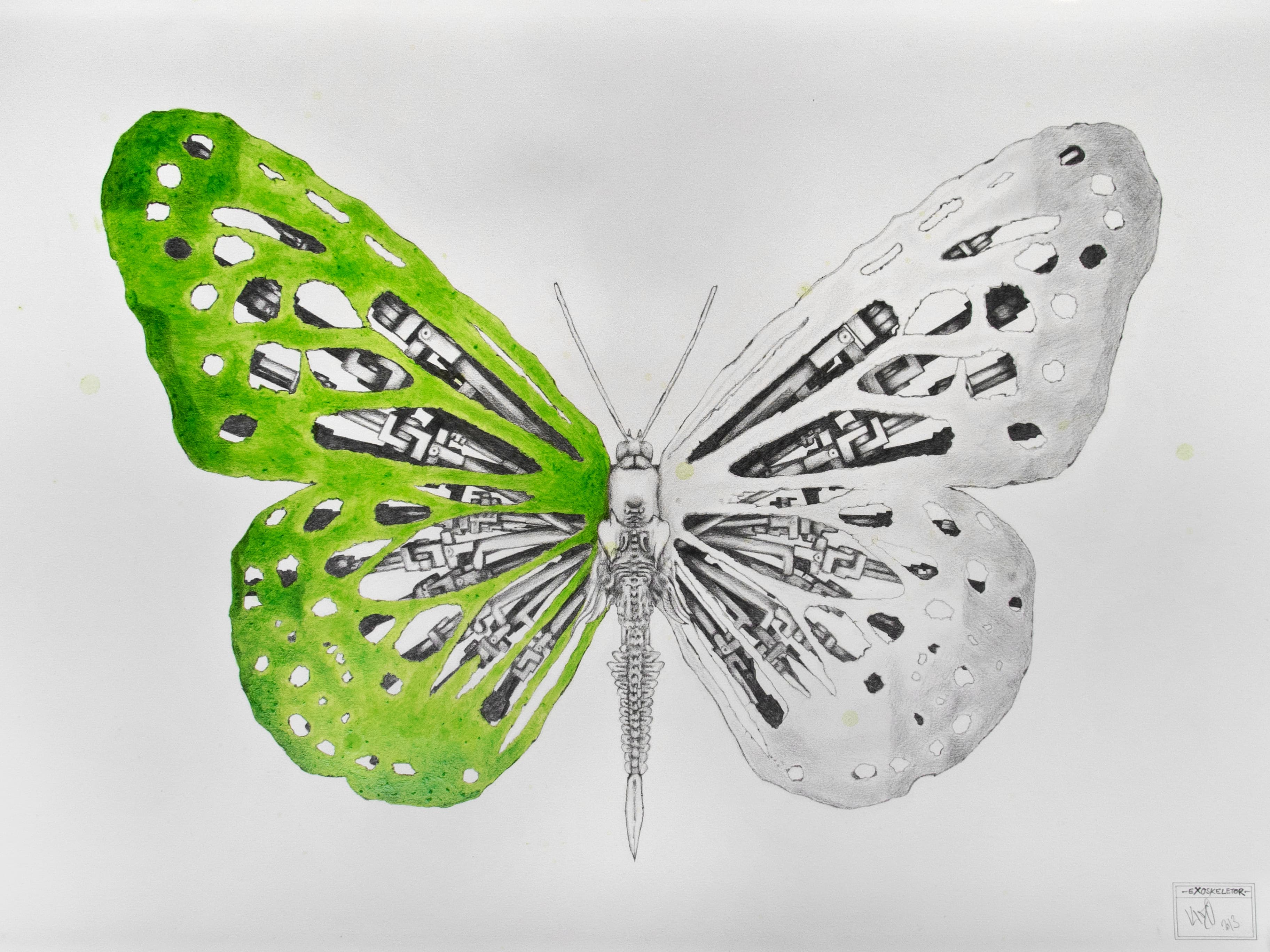 Exoskeletor Butterfly (Artistic)