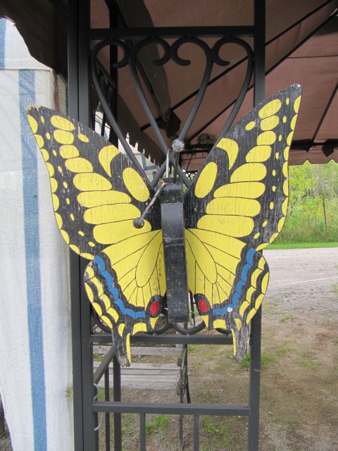 Canadian Tiger Swallowtail (decoration)
