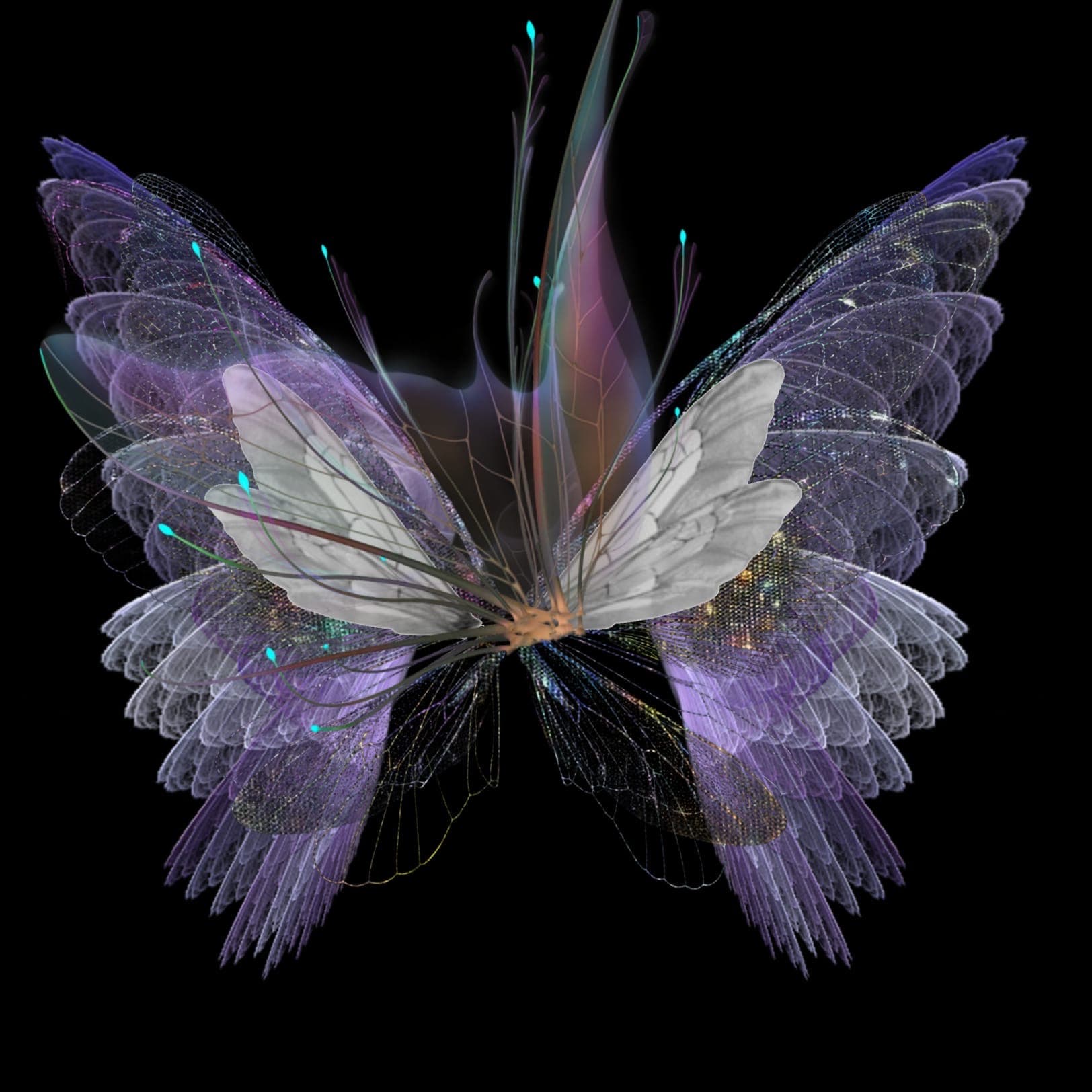 N/A (Artistic rendering)