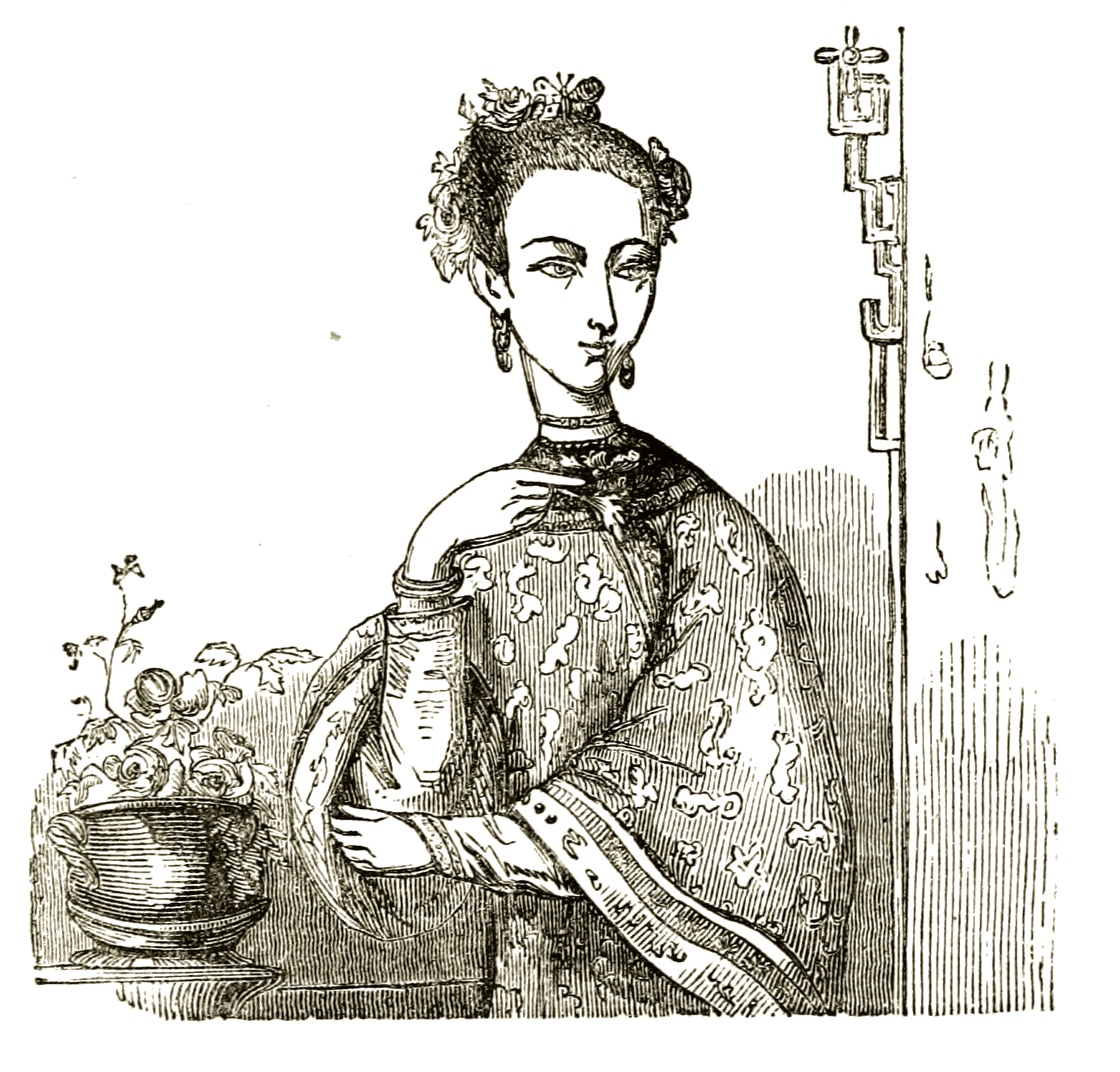 Not a butterfly or moth