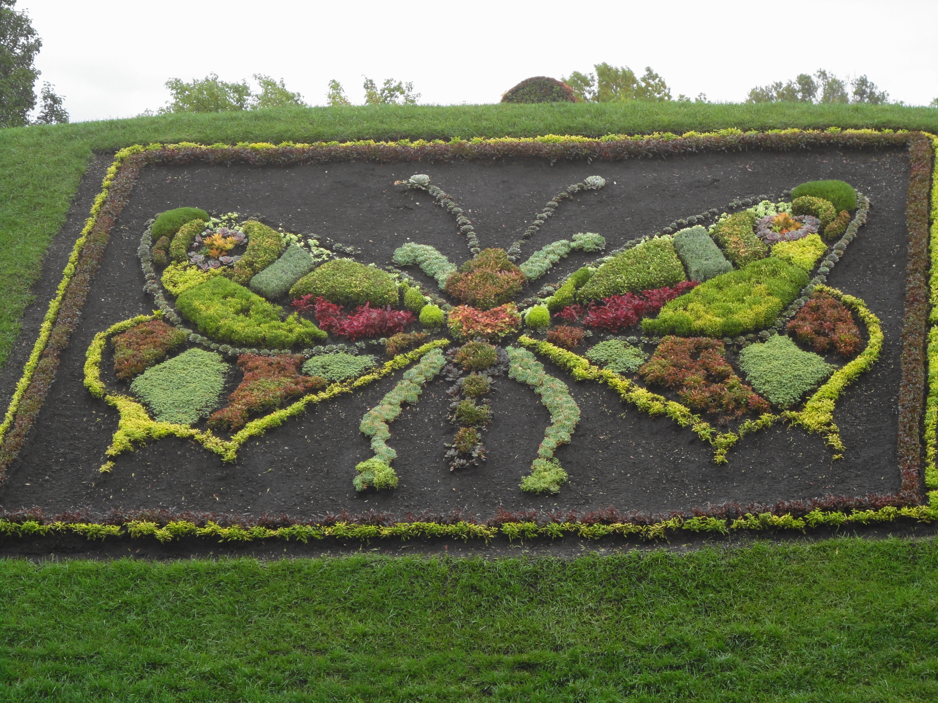 N/A (Image depicts a floral sculpture, not a real butterfly)