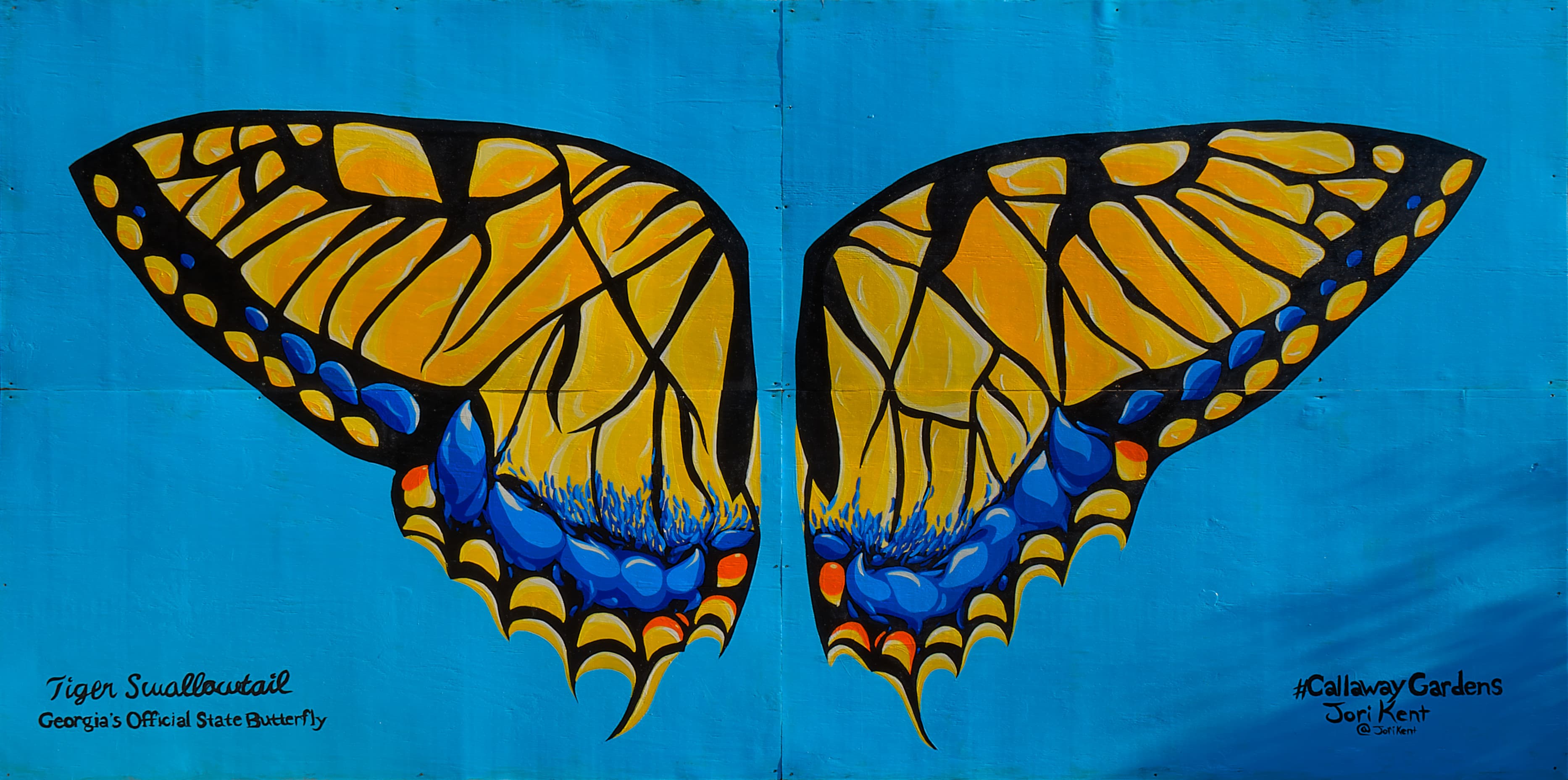 Eastern Tiger Swallowtail