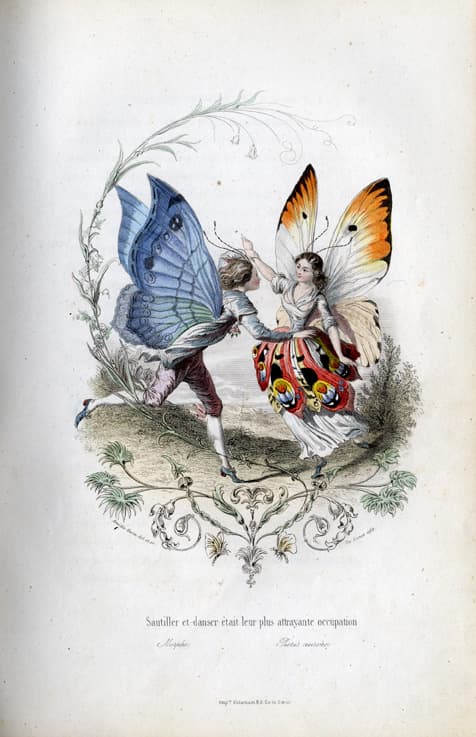 Anthropomorphic Blue and Orange Butterflies (Artistic)