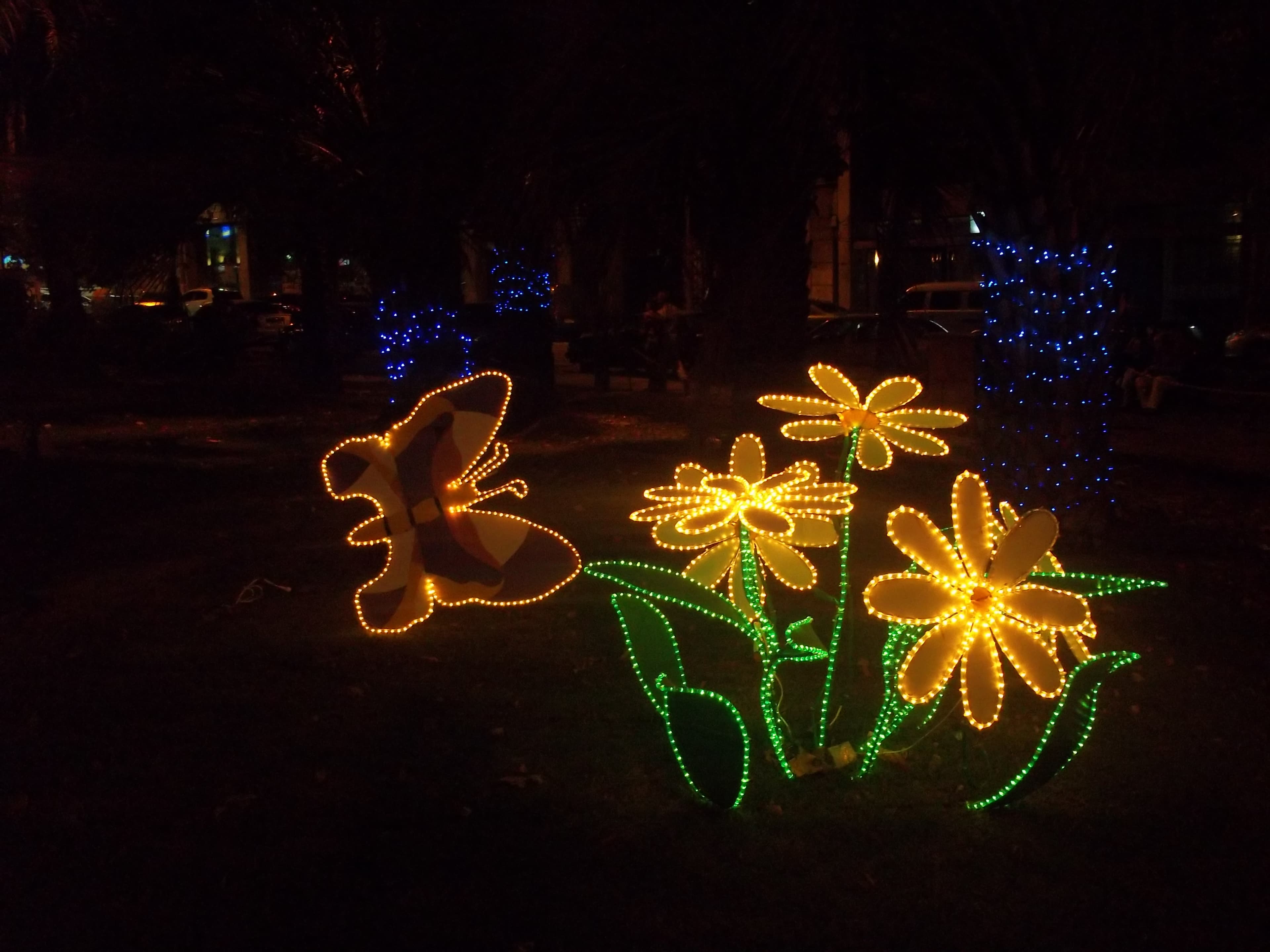 N/A (Decorative light installation)