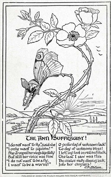 Anti-Suffragist Butterfly (Metaphorical)