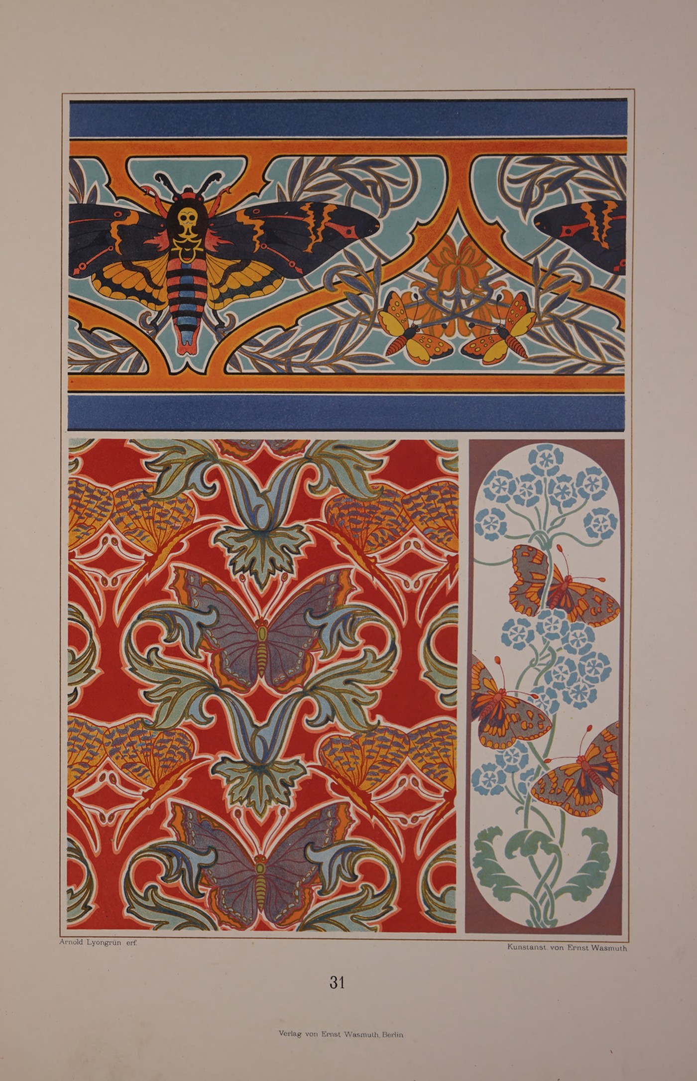 Death's-head Hawkmoth