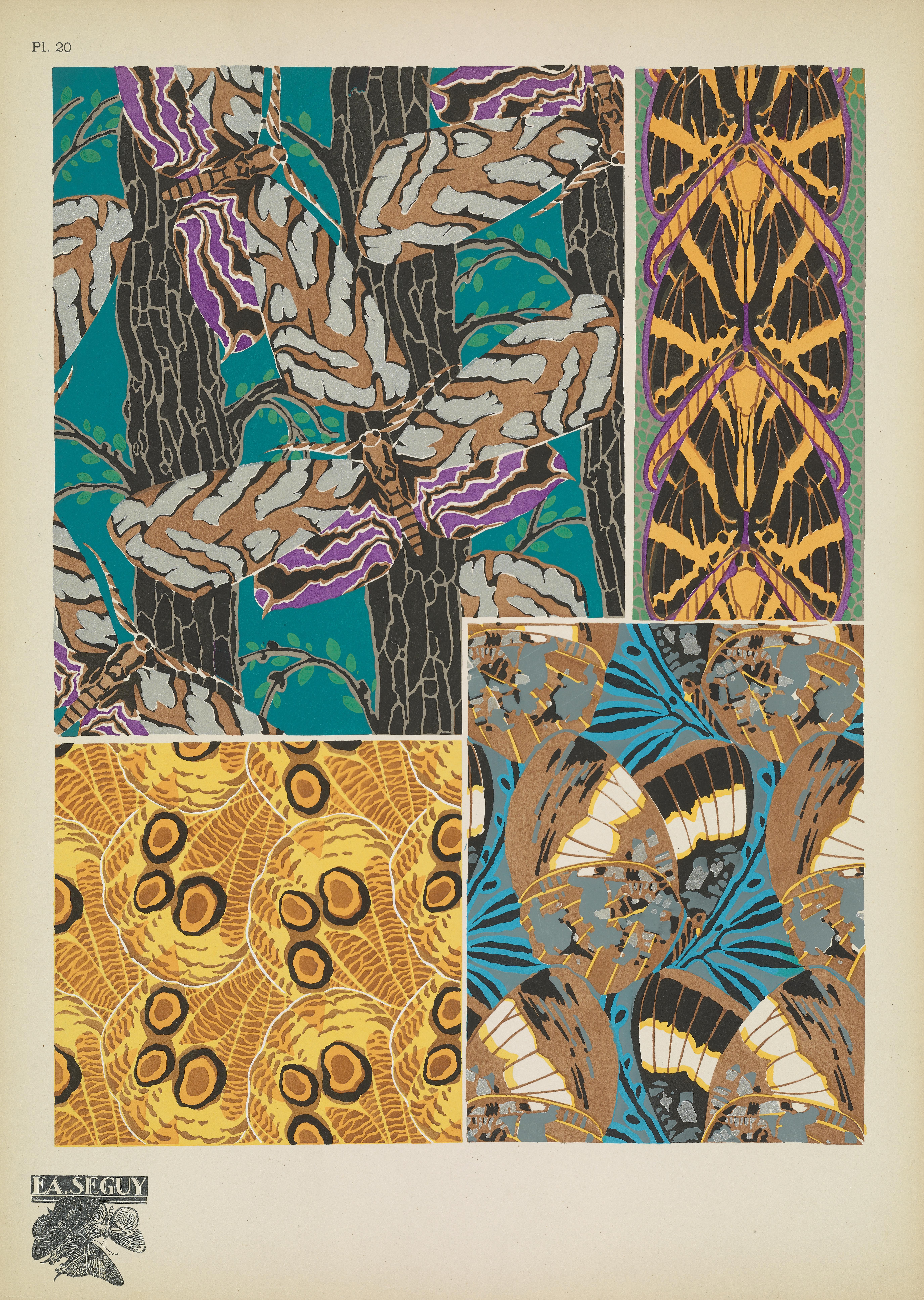 Stylized Lepidoptera Patterns by E.A. Seguy