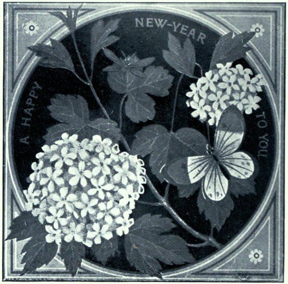 Stylized Butterfly Illustration