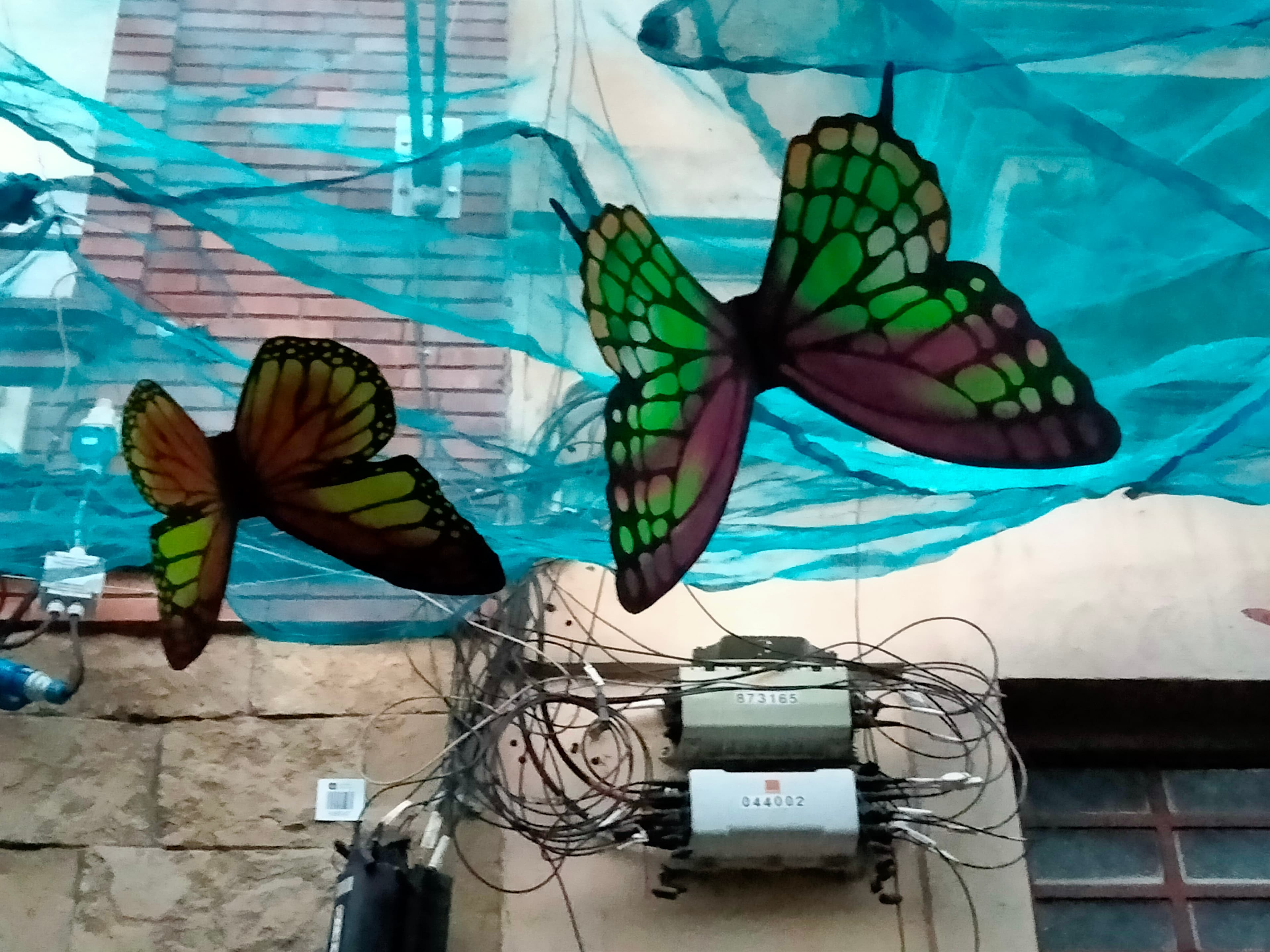 N/A (Artificial decoration)