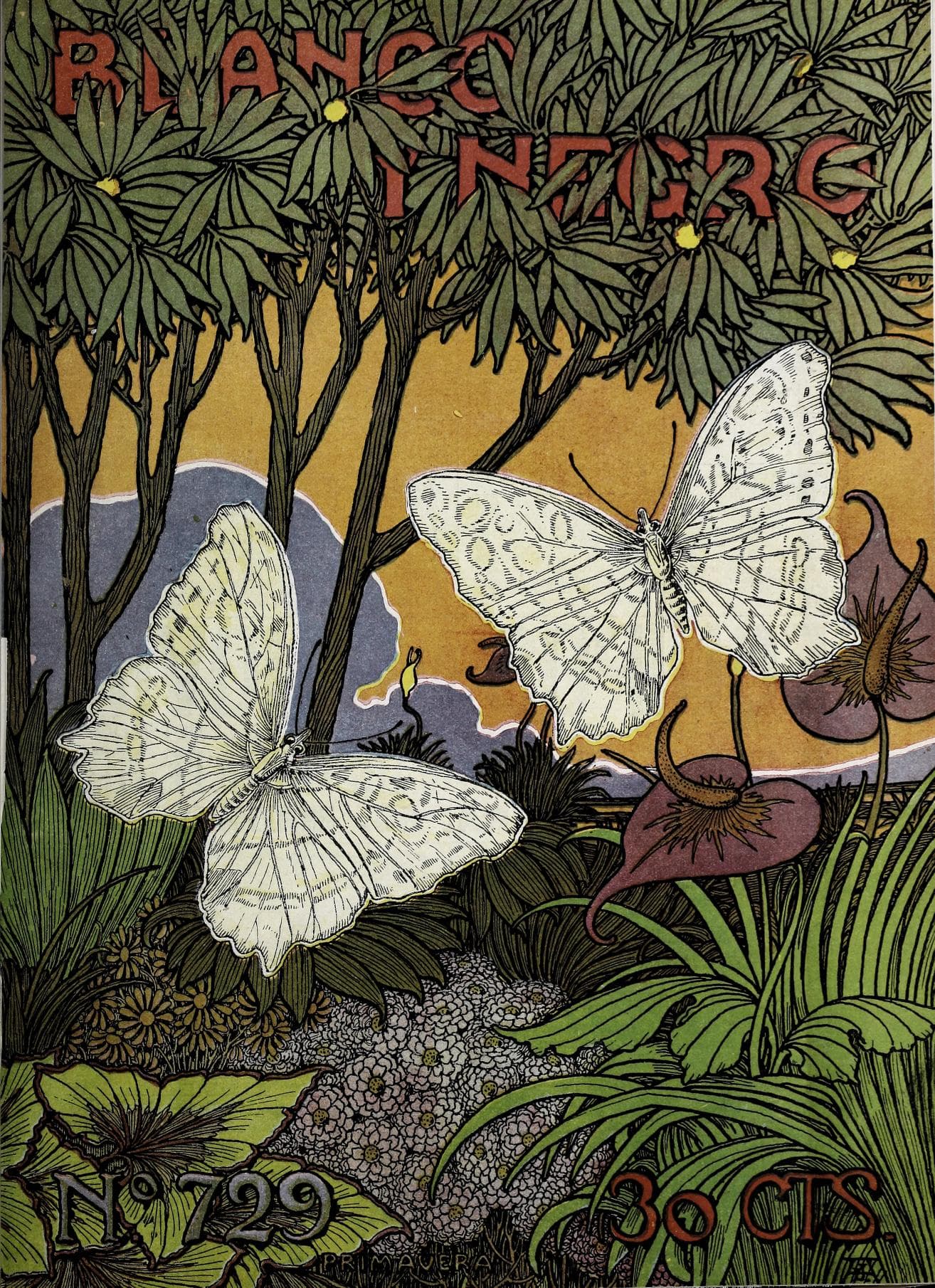 Wood White