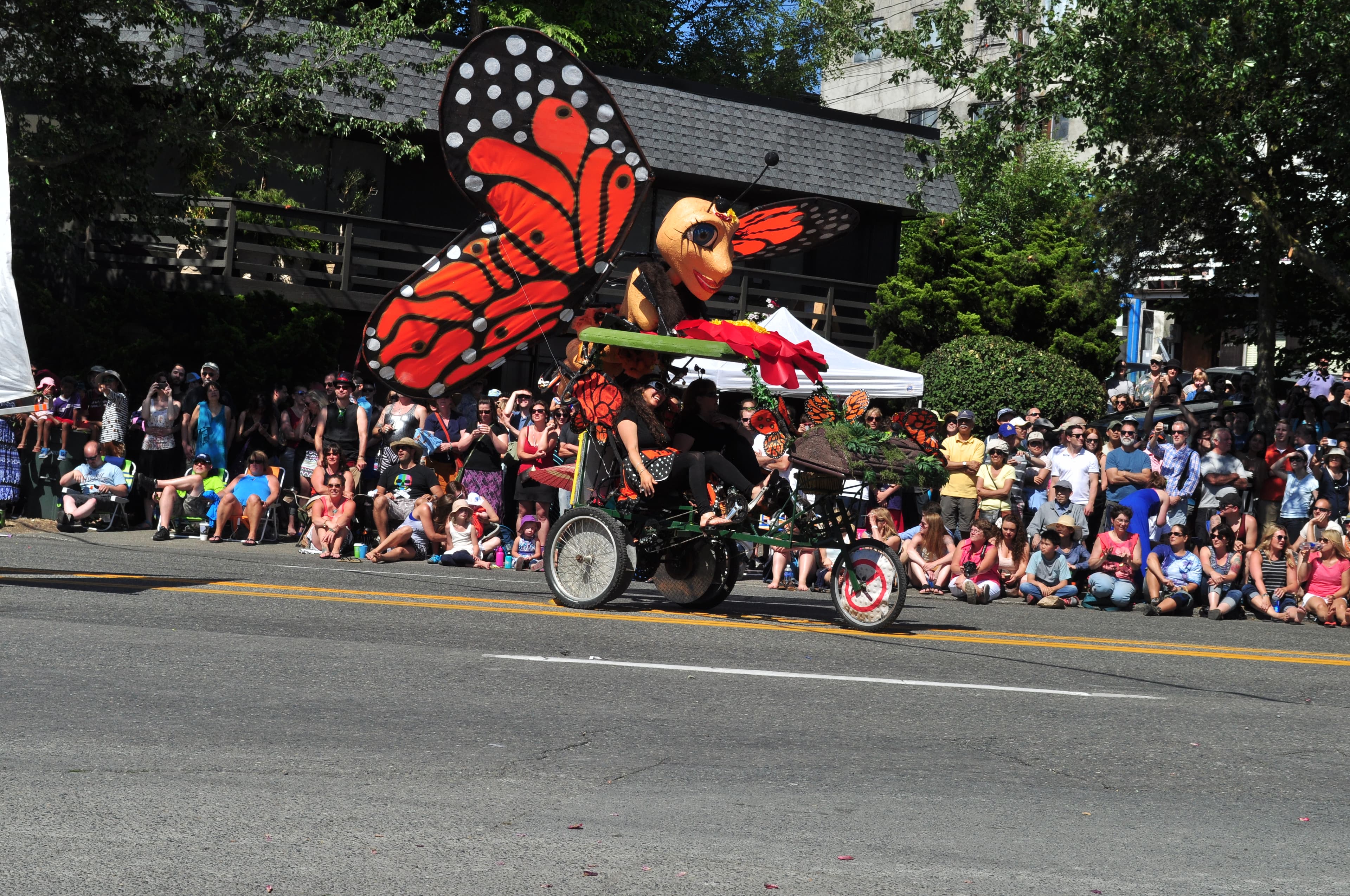 Monarch butterfly