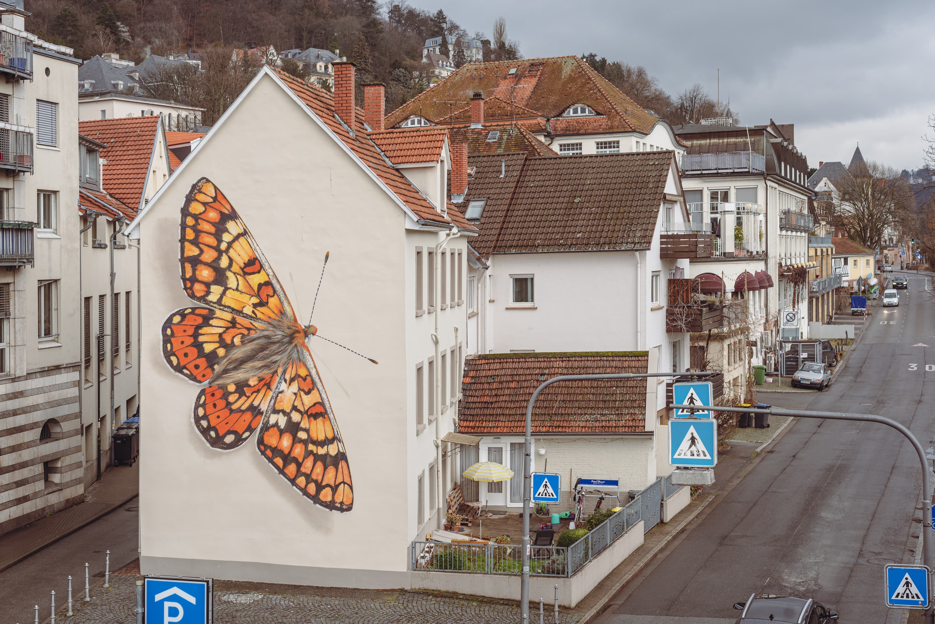 Heath Fritillary