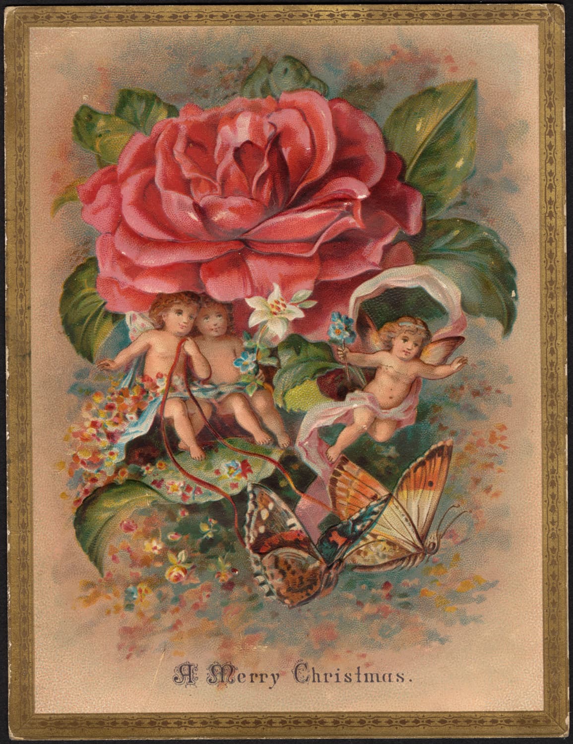 Unidentifiable Butterfly (Artistic Representation)