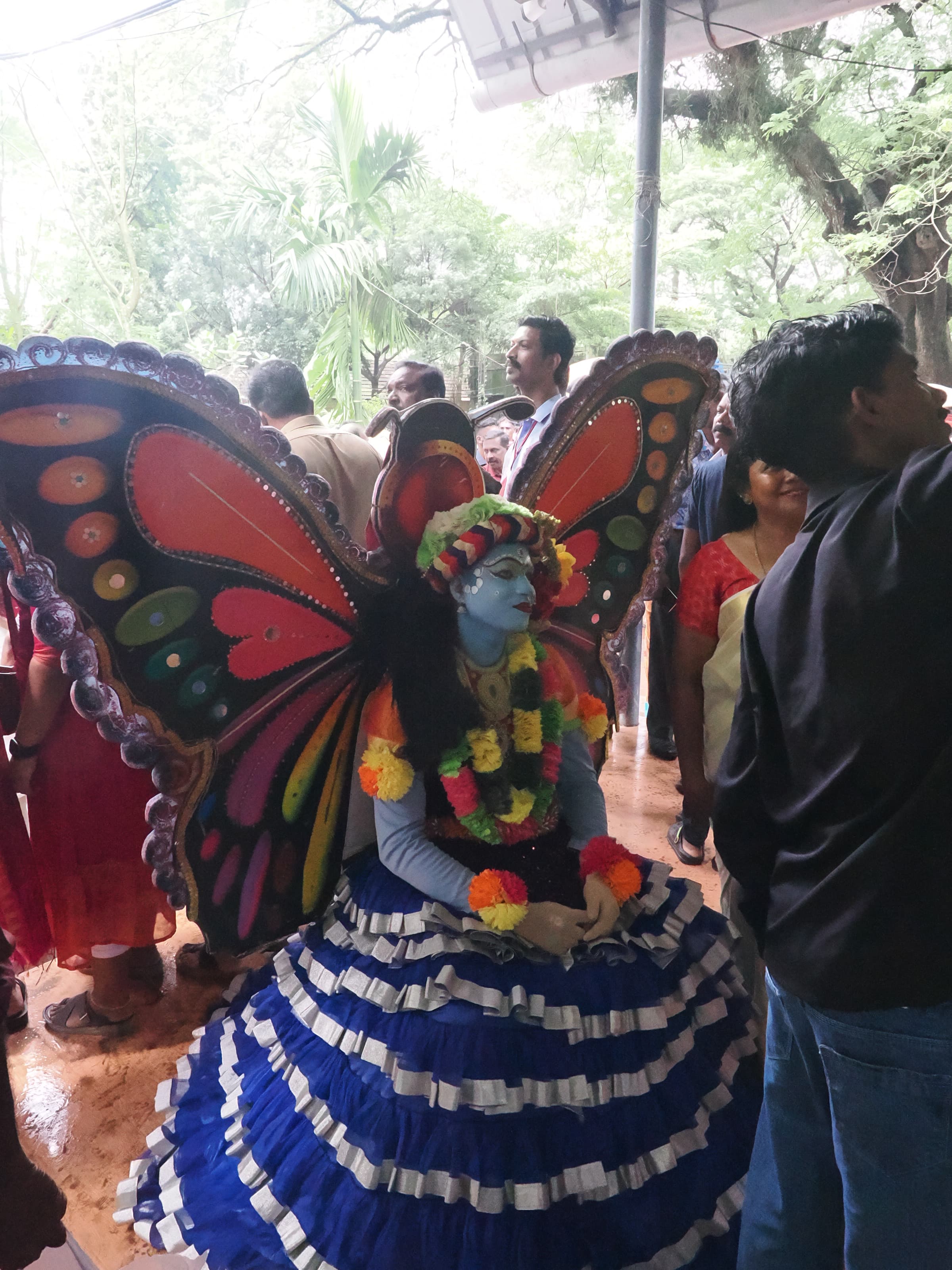 Butterfly Costume (Cultural Display)