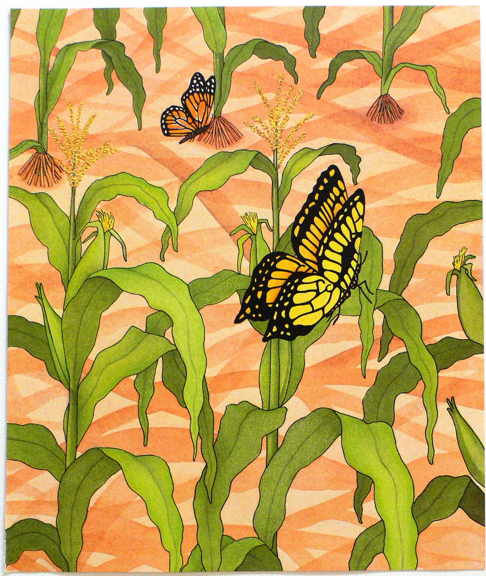 Eastern Tiger Swallowtail