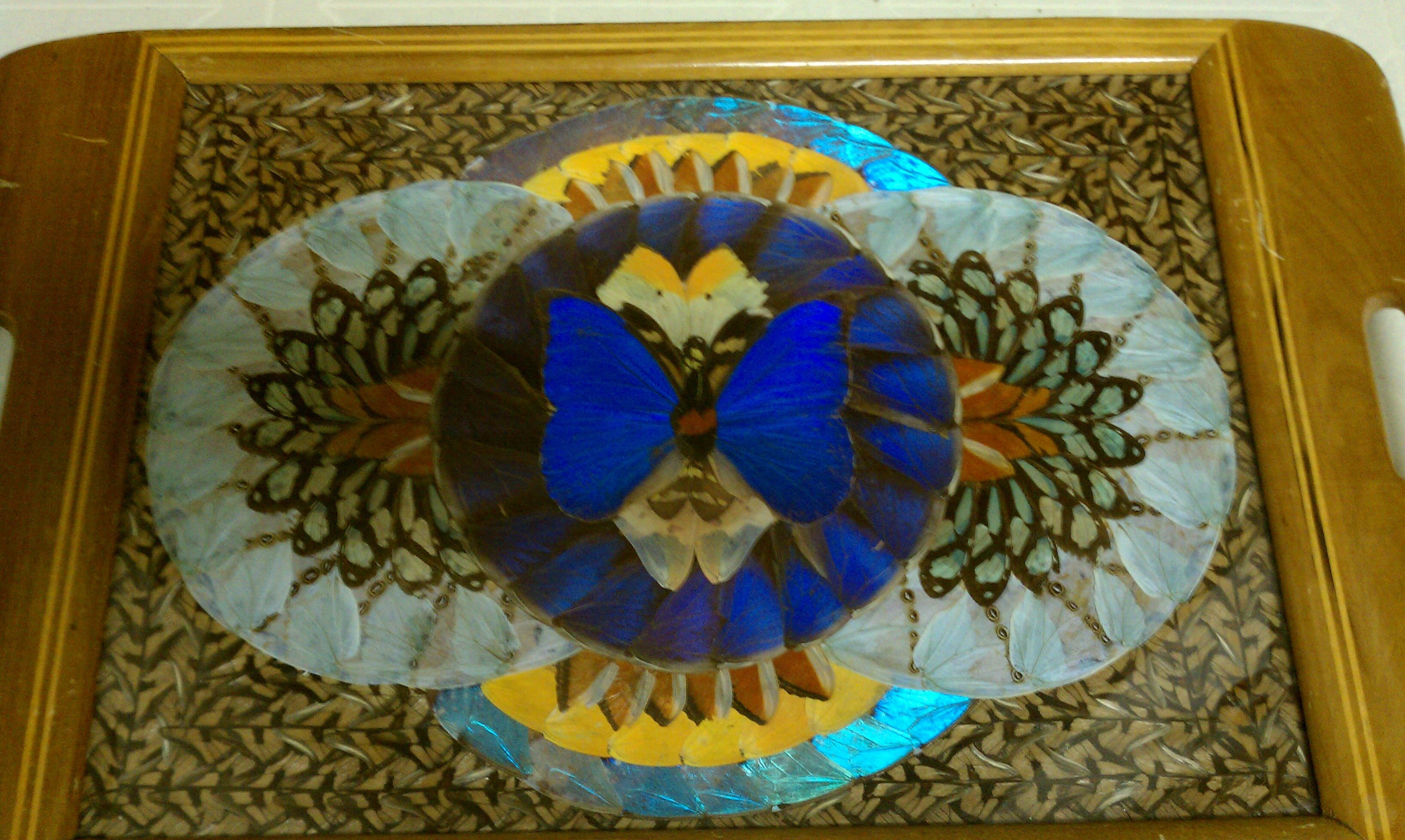 Blue Morpho