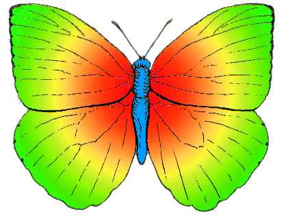 Artistic Rainbow Butterfly (not a real species)