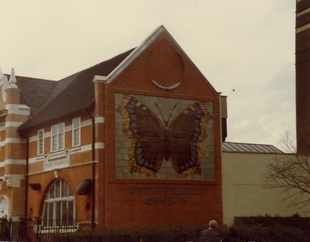 Camberwell Beauty