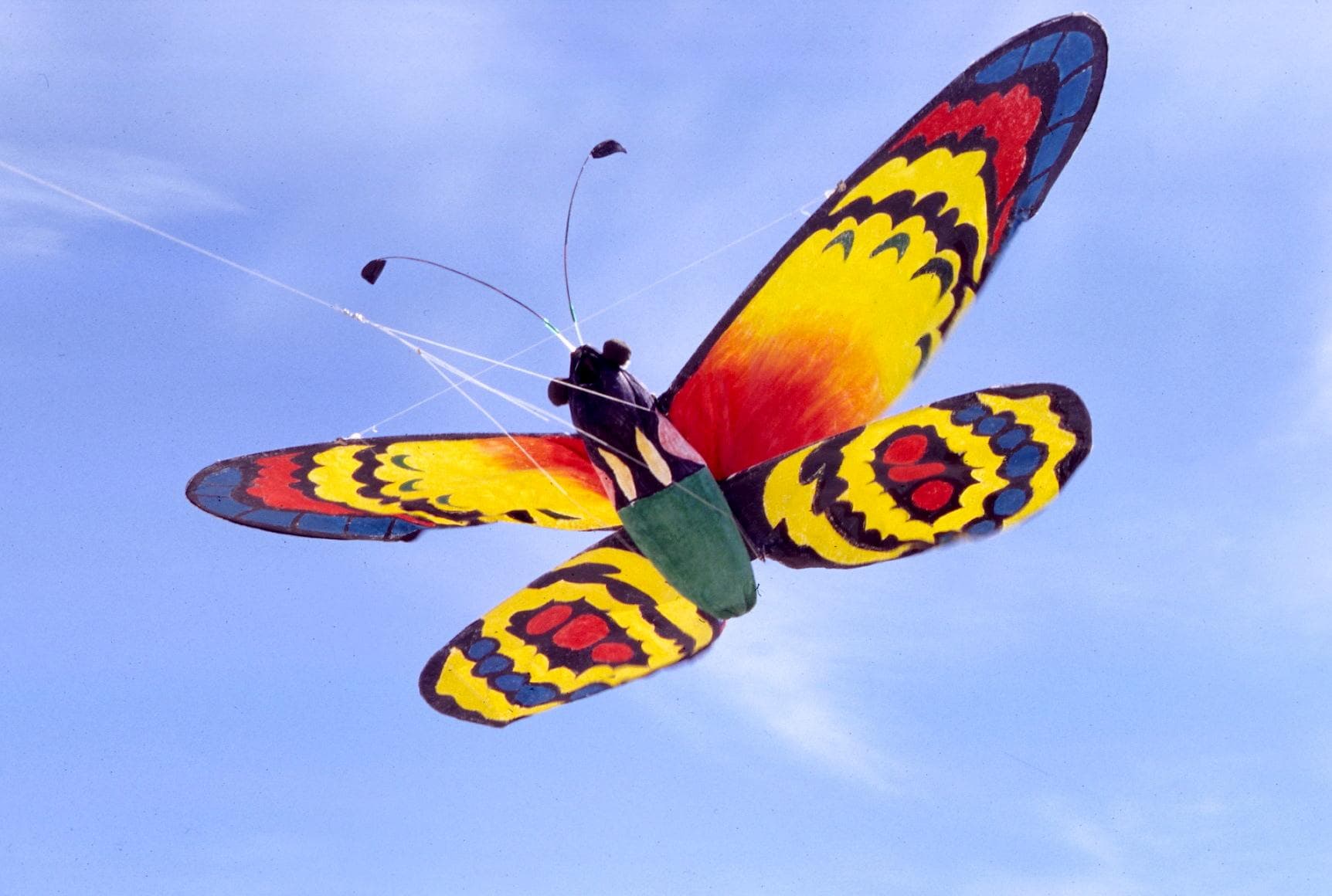 Butterfly Kite