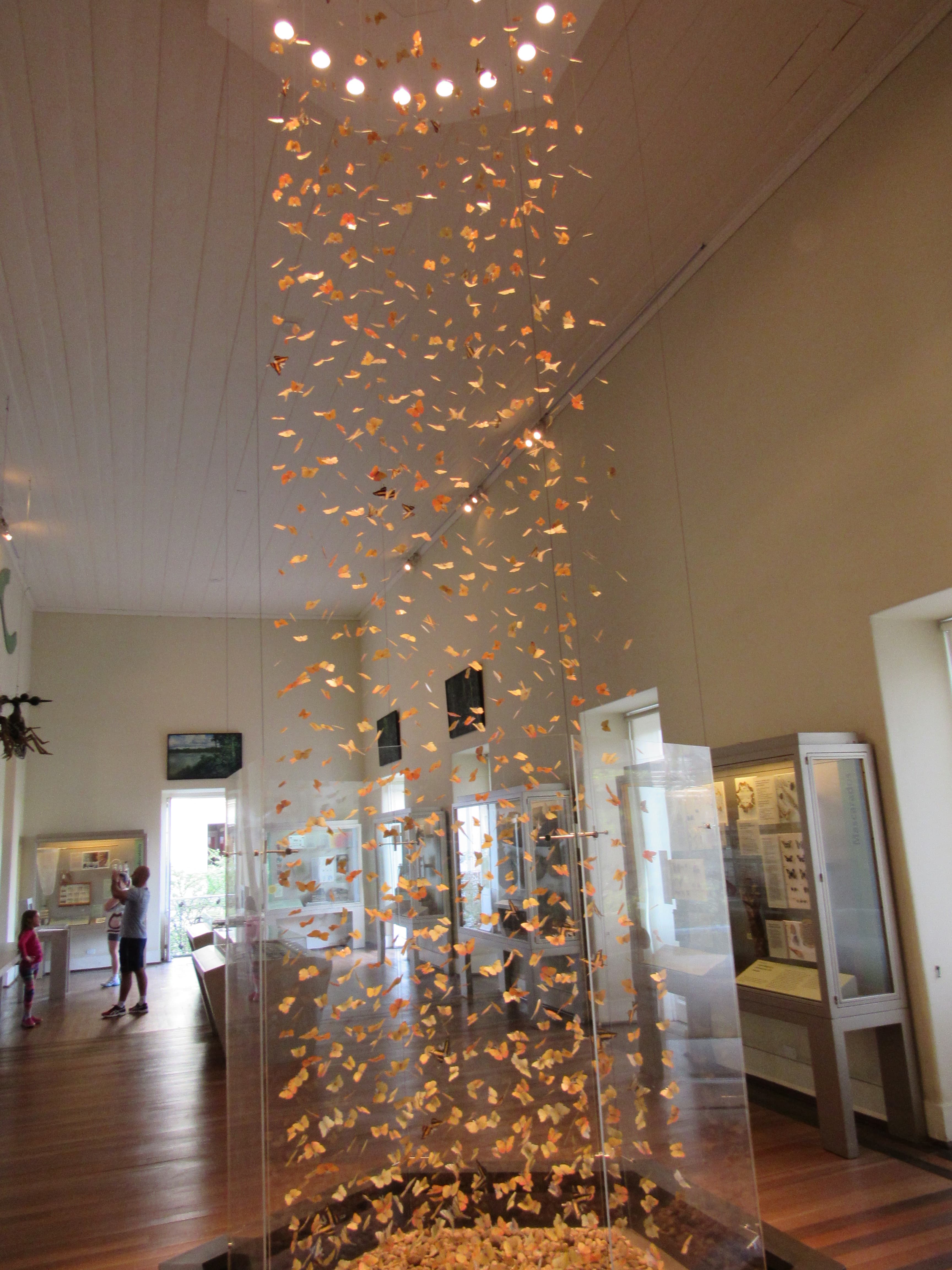N/A (Art Installation)