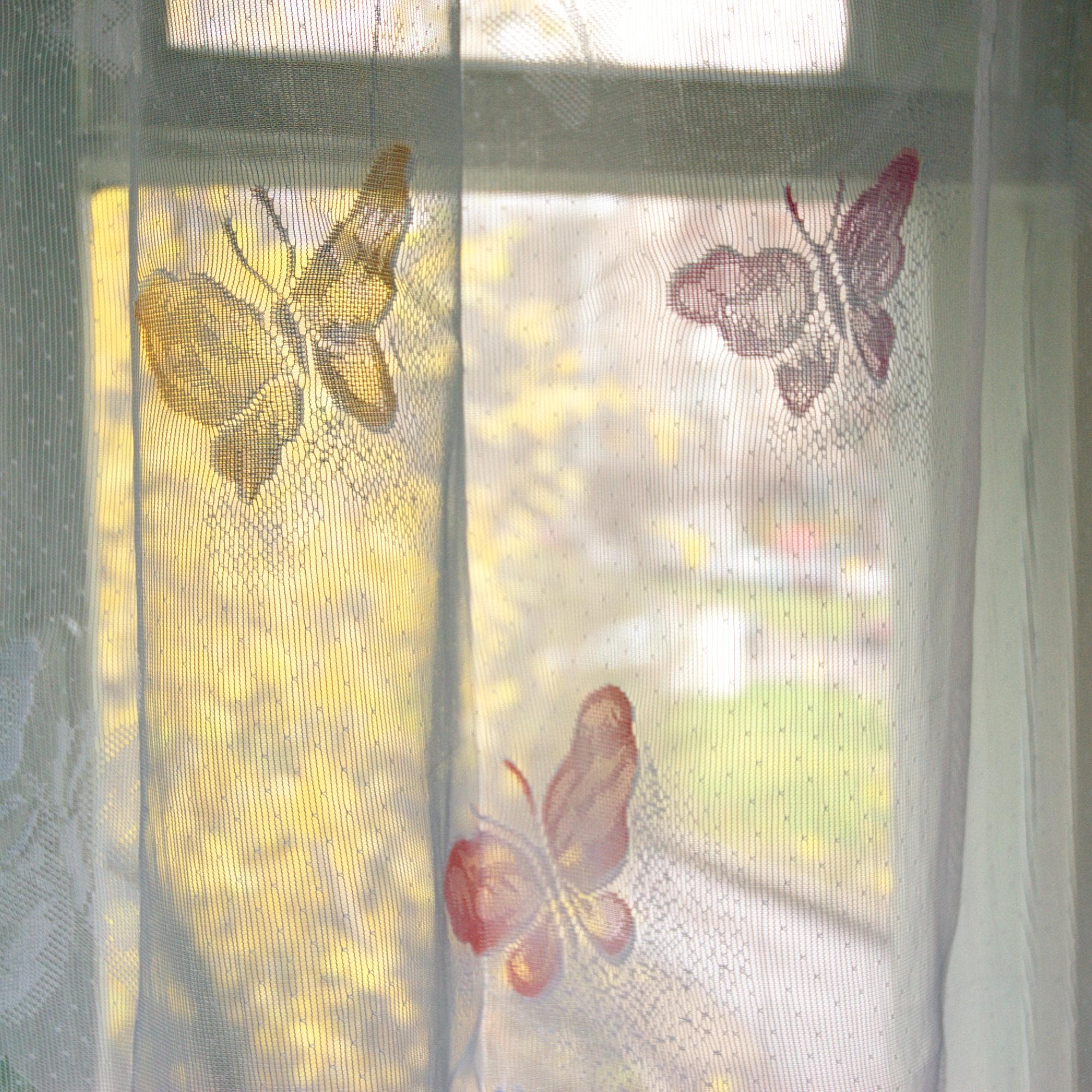 Butterfly motif