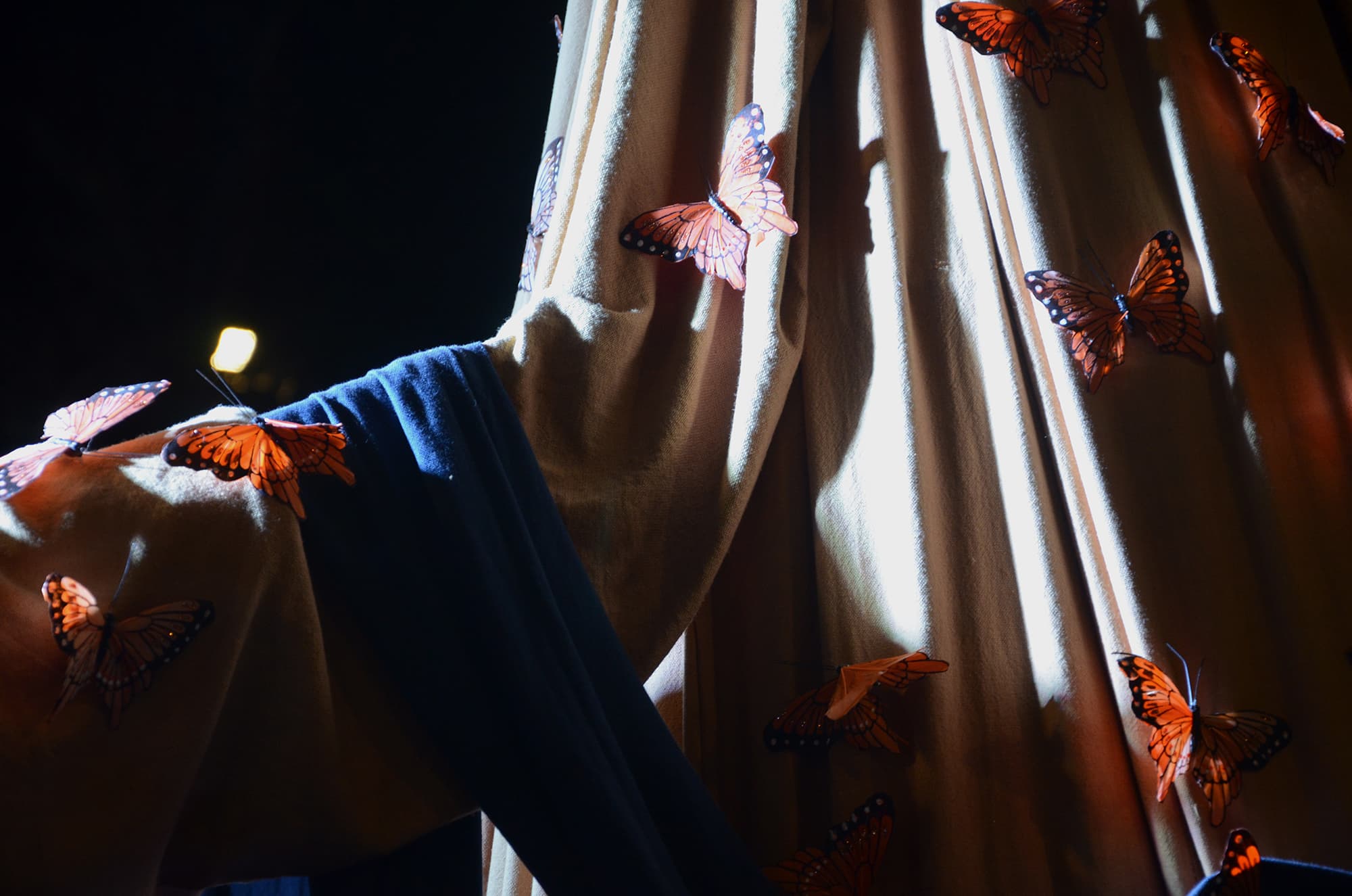 Monarch butterfly