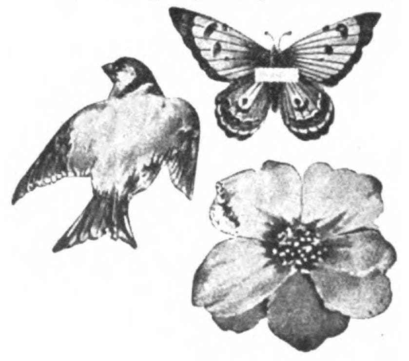 Large Wall Brown