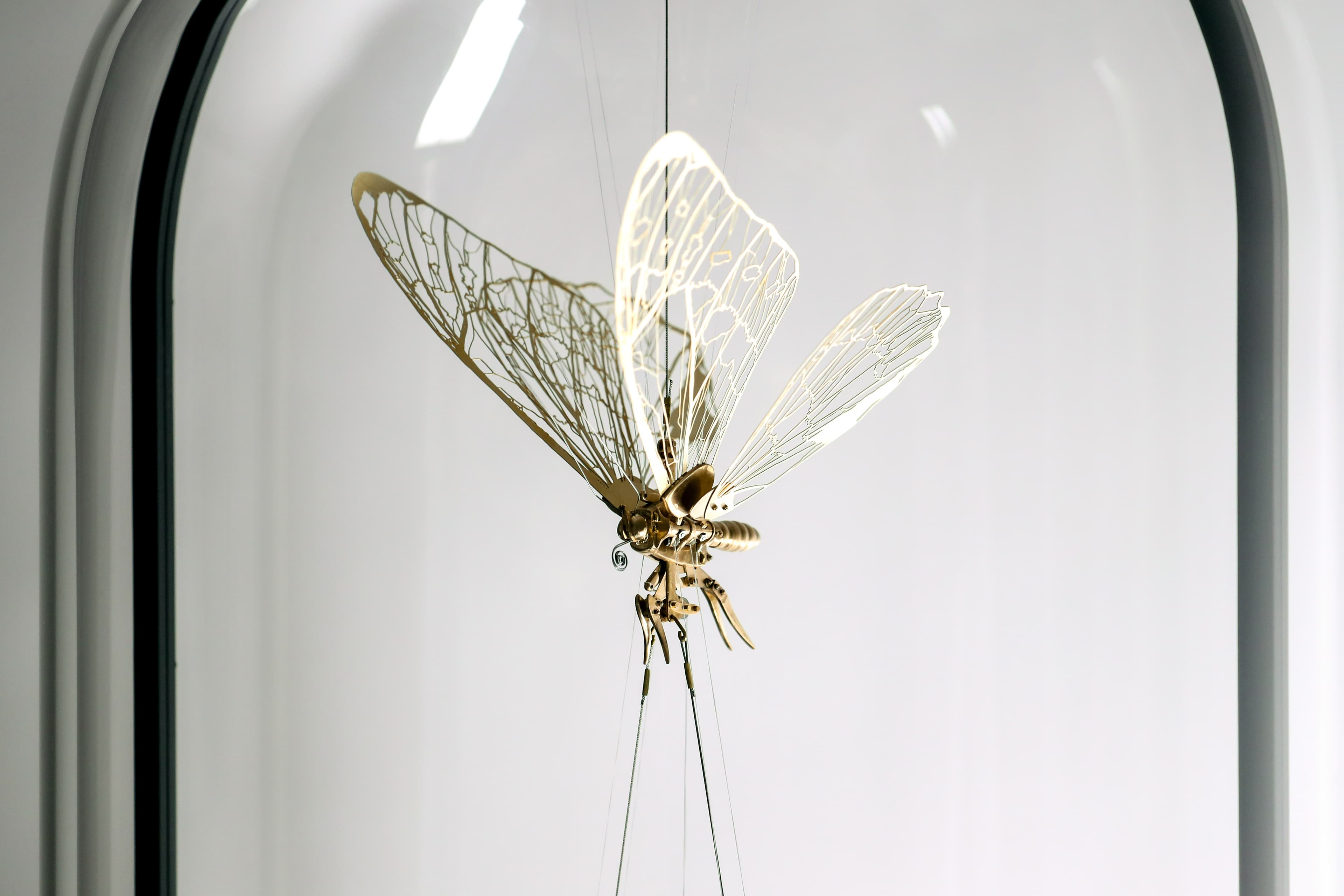 Puppet Flutter (Interactive Butterfly Model)