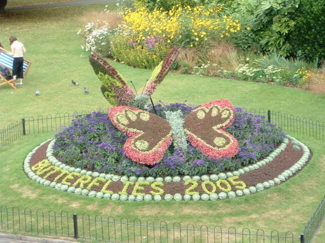 N/A (Floral display)