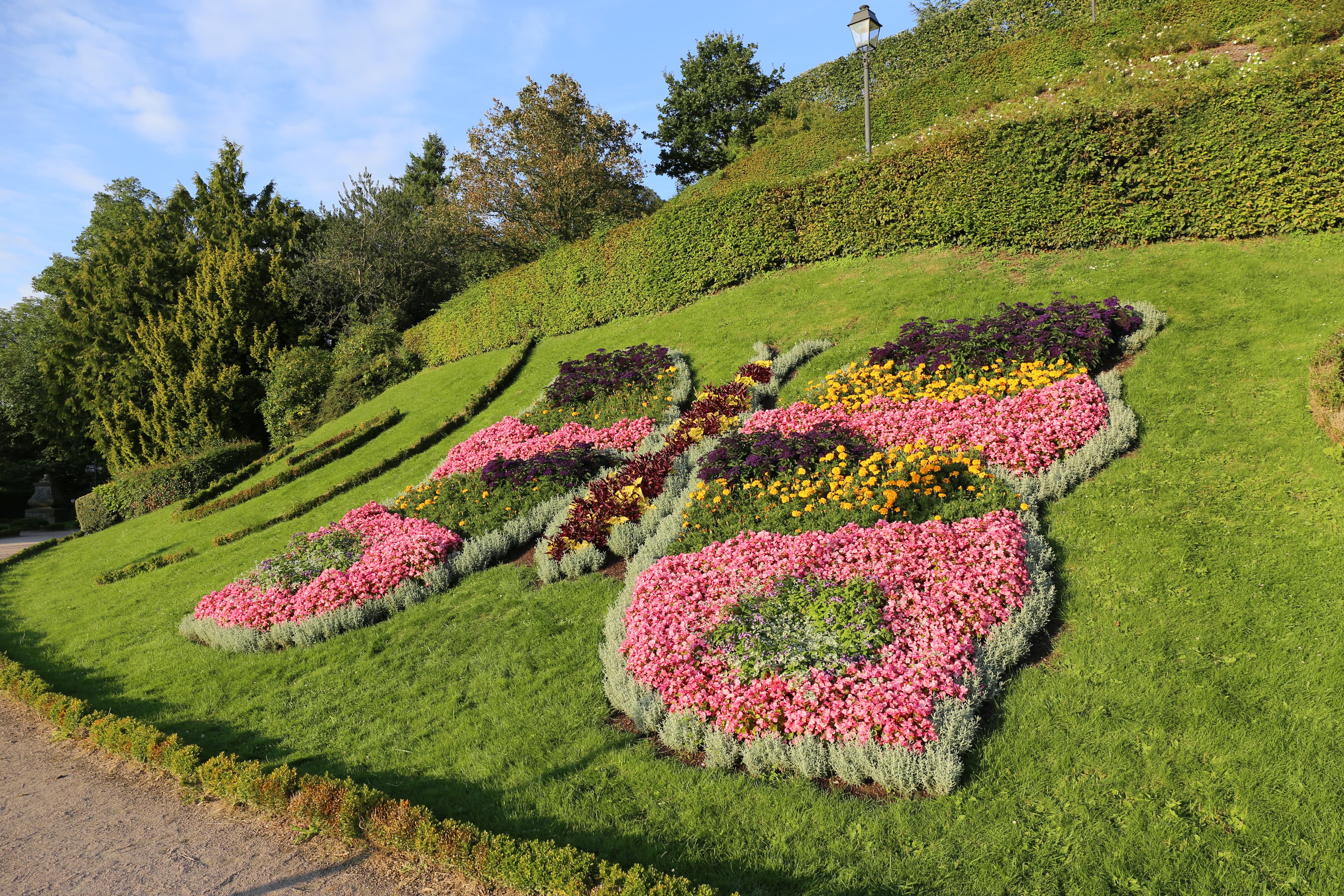 Floral Butterfly Display