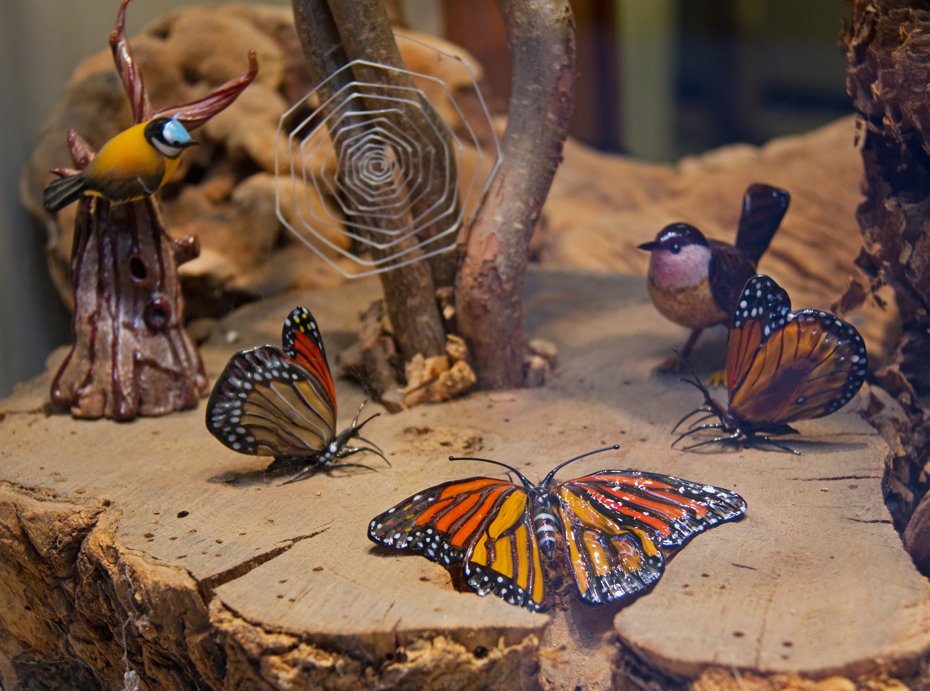 Monarch butterfly