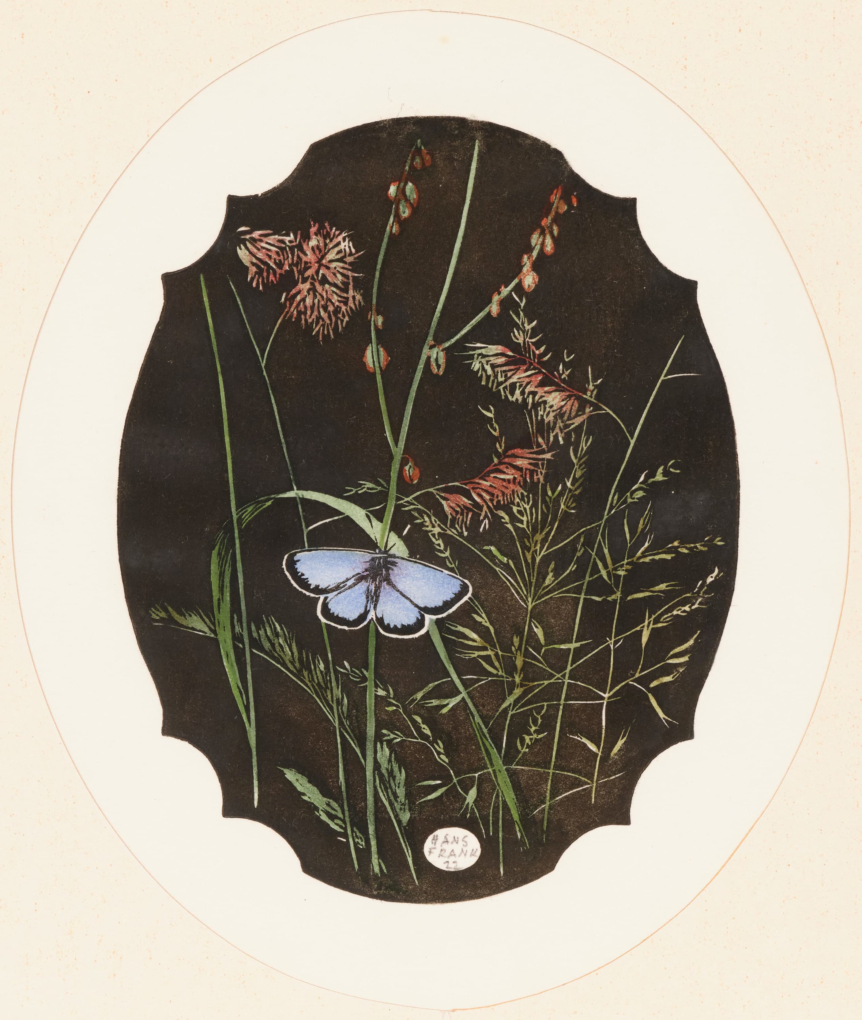 Common Blue