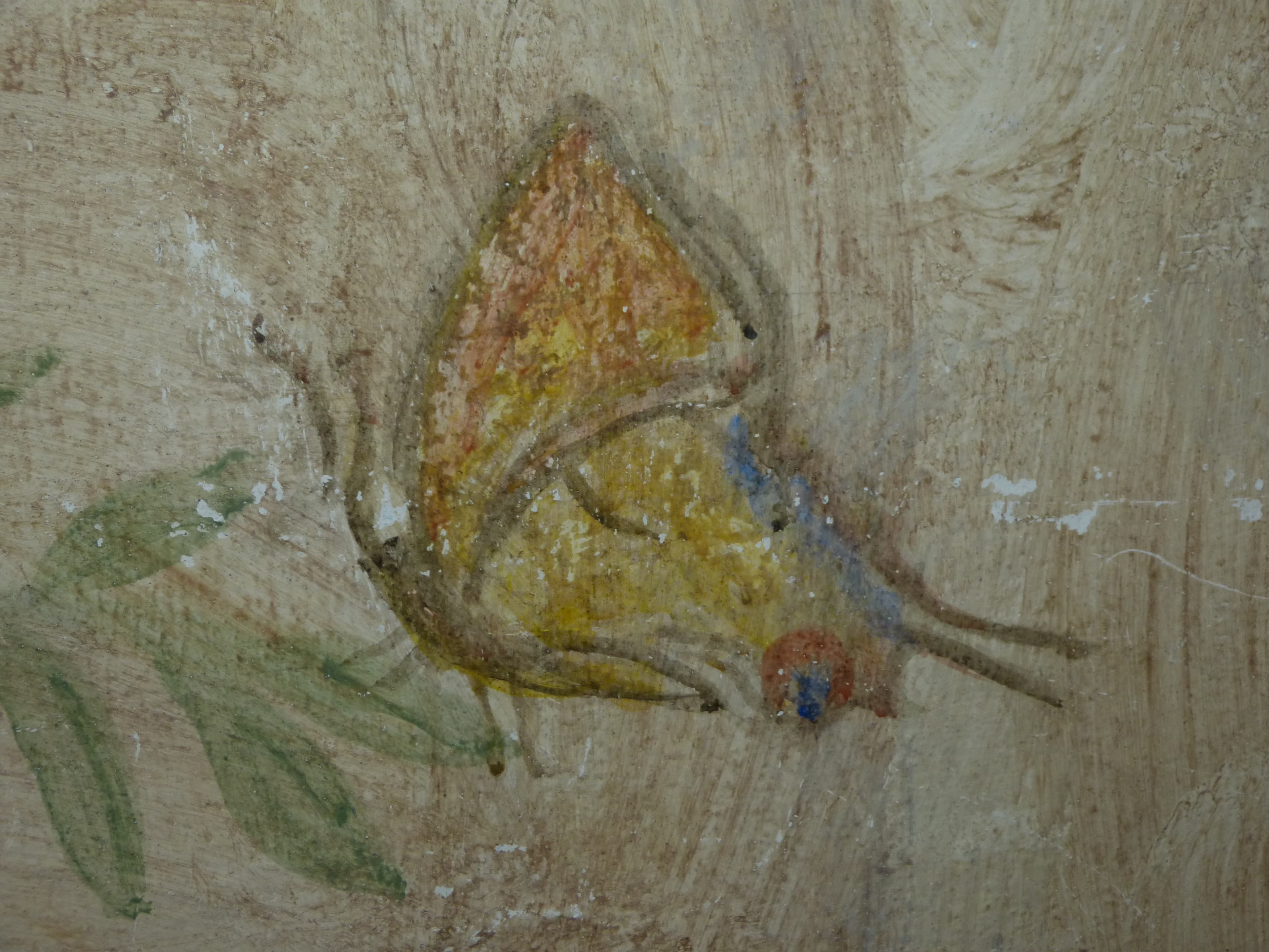 Depicted Butterfly (generic)