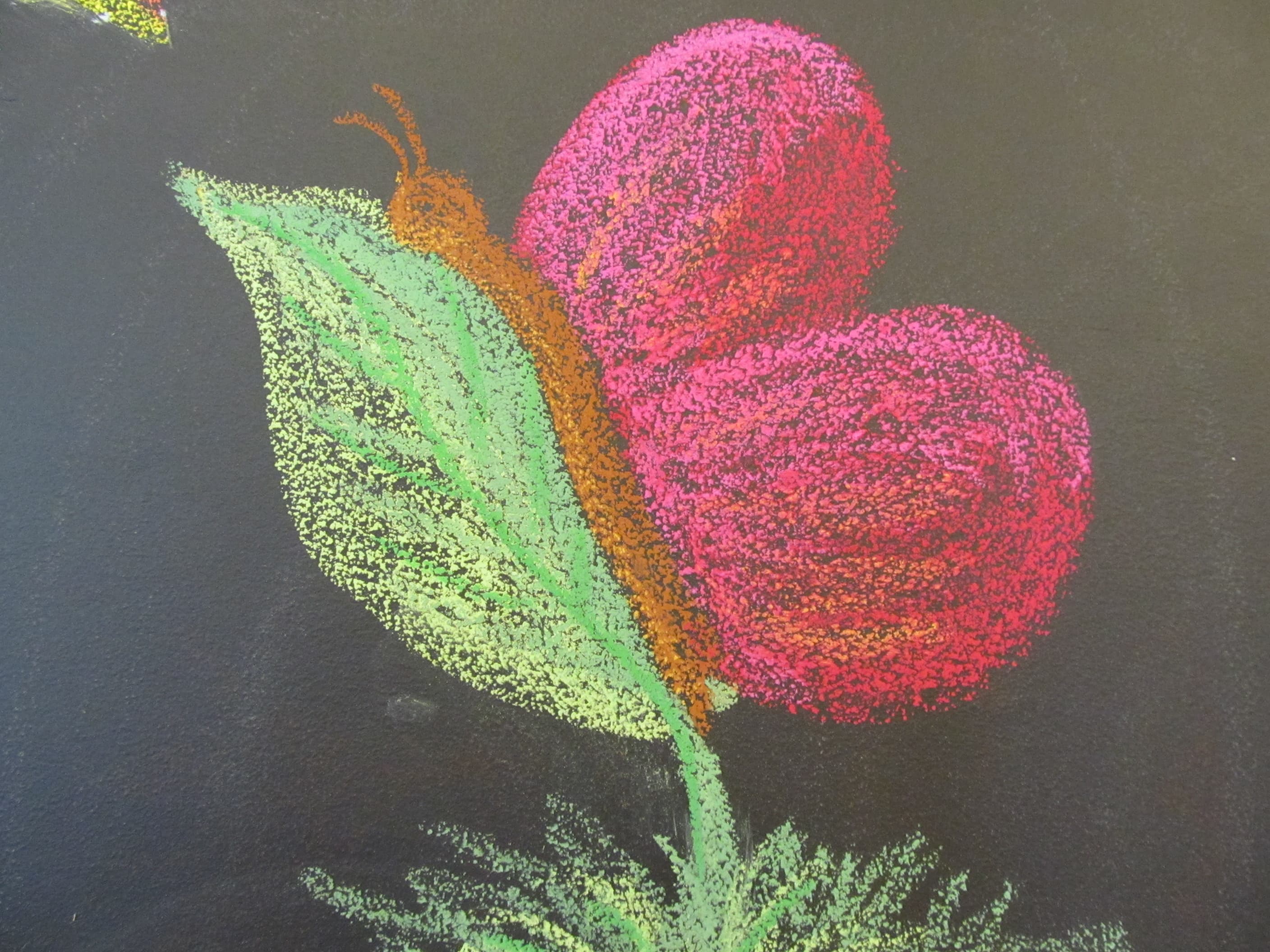 Chalkboard Butterfly Drawing