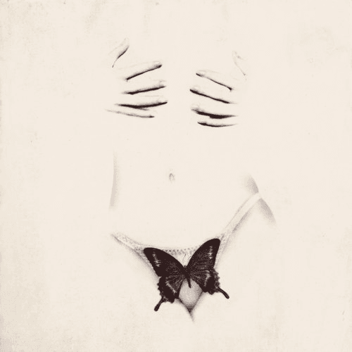 Butterfly (Artwork)