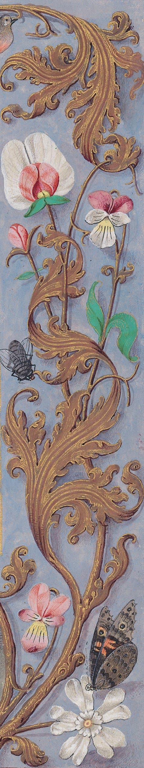 Wall Brown