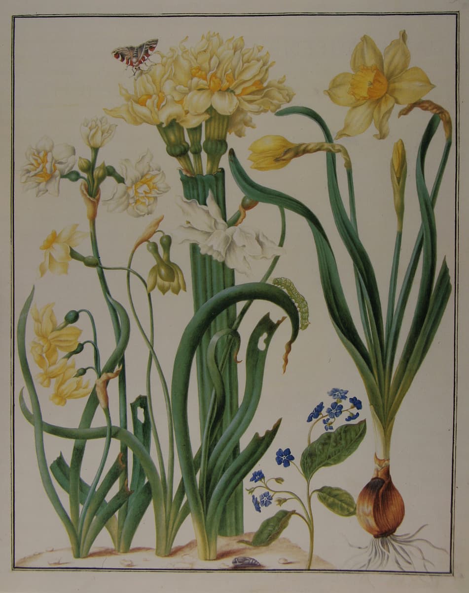Burnet Companion