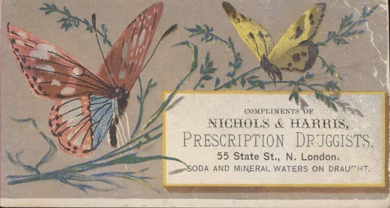 Clouded Sulphur