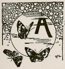 Unknown (generic illustration)