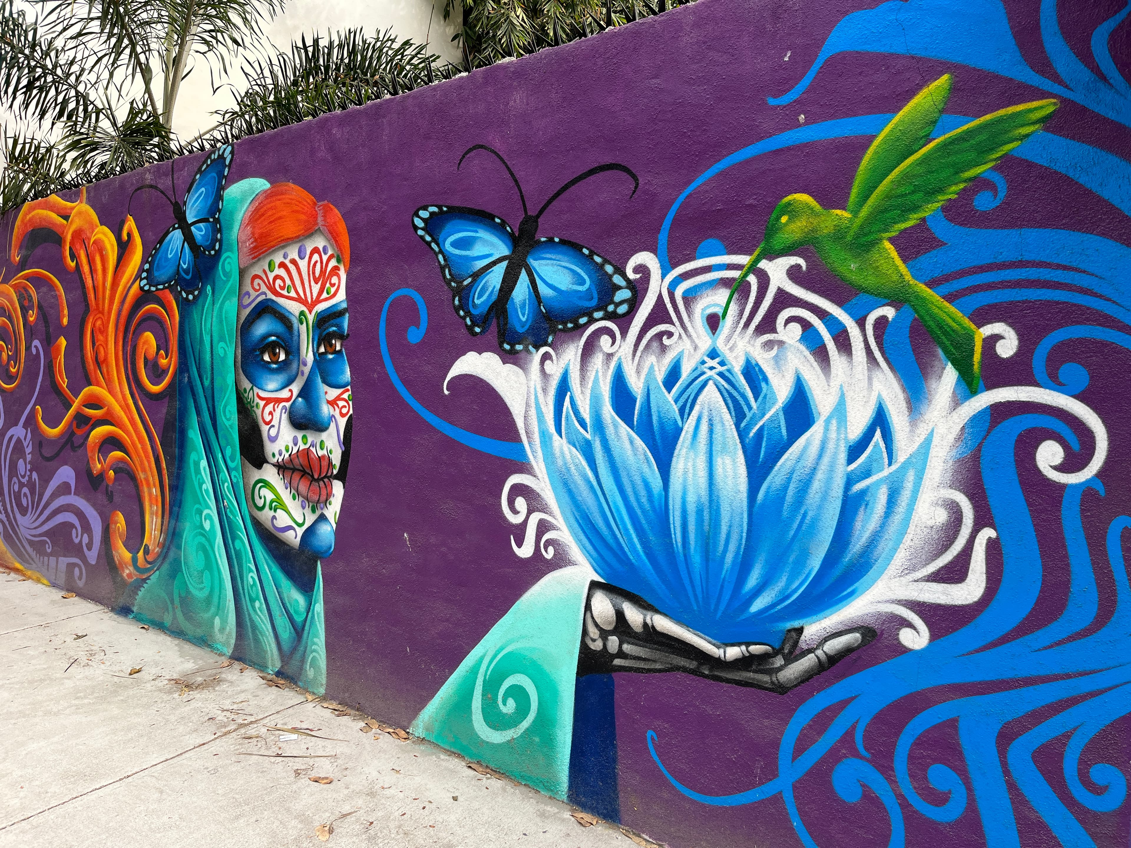Stylized Butterfly (Artistic Representation)