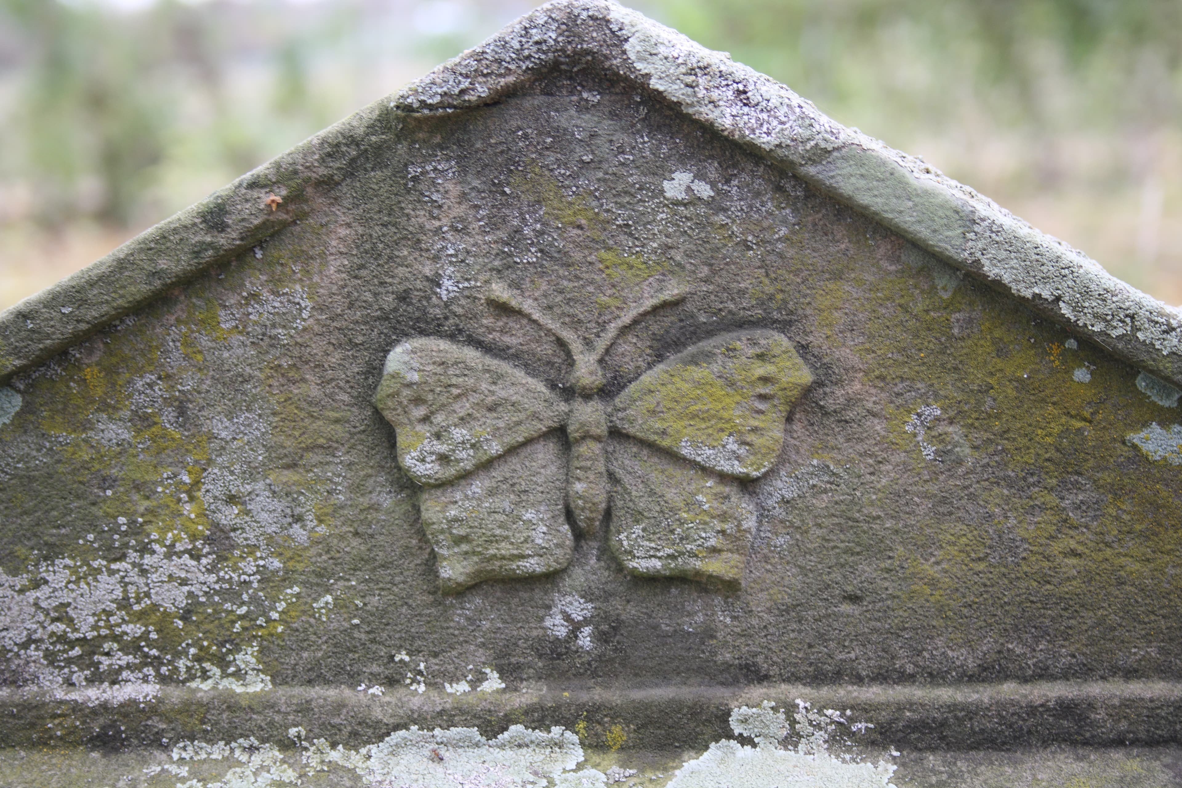 Generic Butterfly Symbol