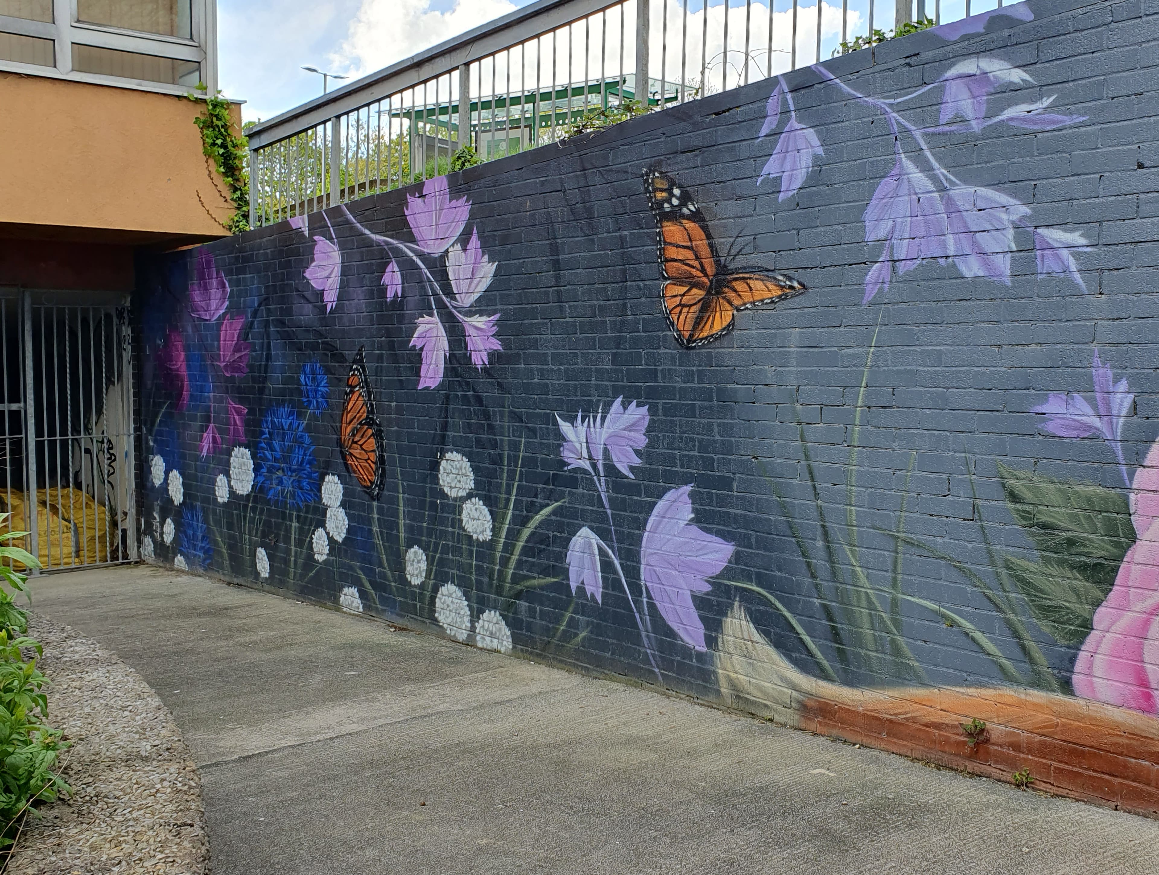Monarch