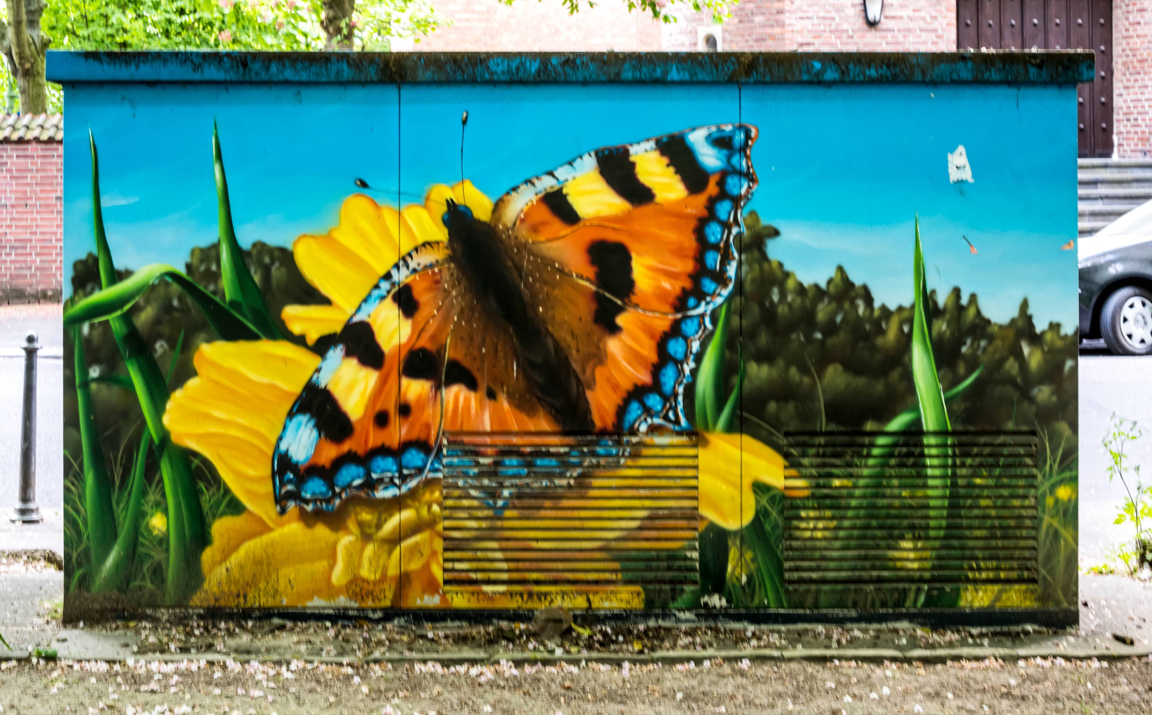 Small Tortoiseshell