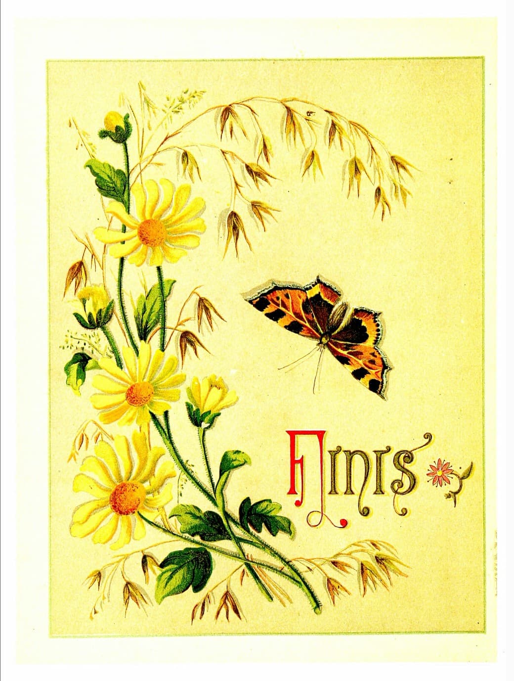 Small Tortoiseshell