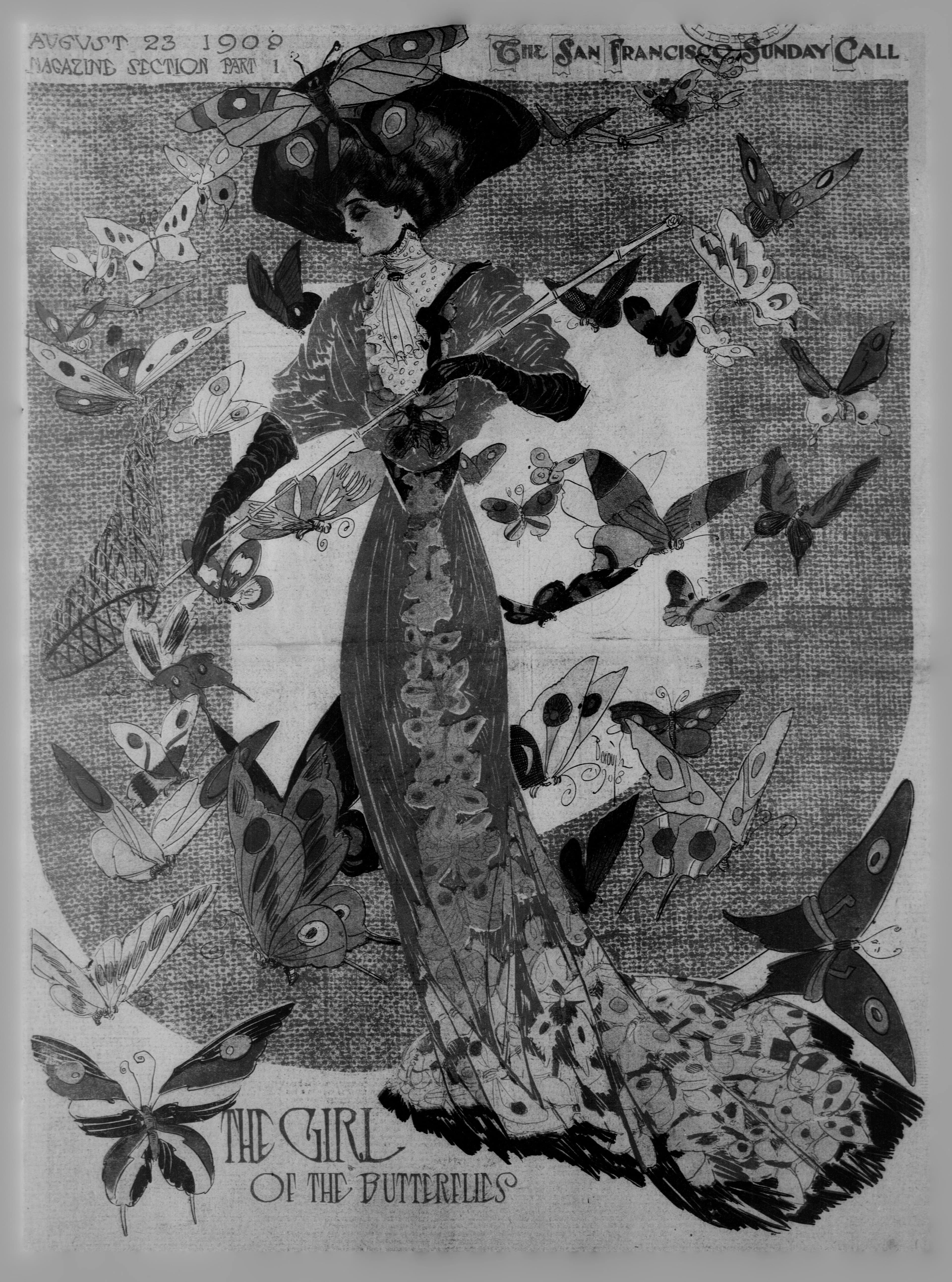 Illustrated Butterflies (Generic)