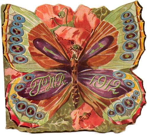 Artistic Butterfly Representation