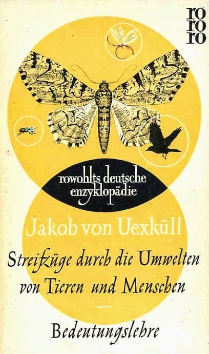 Generic Moth Illustration