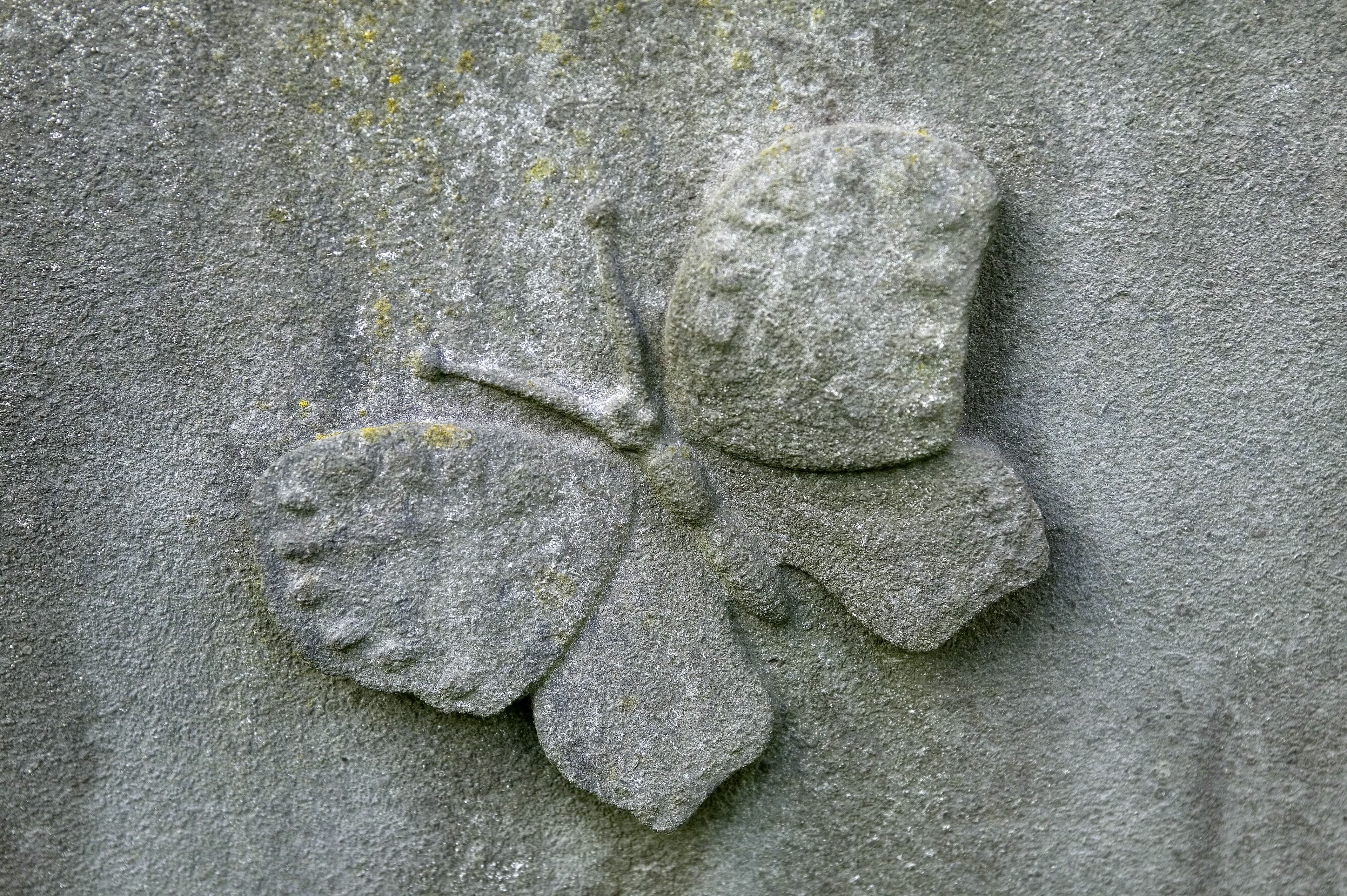 Sculpted Butterfly