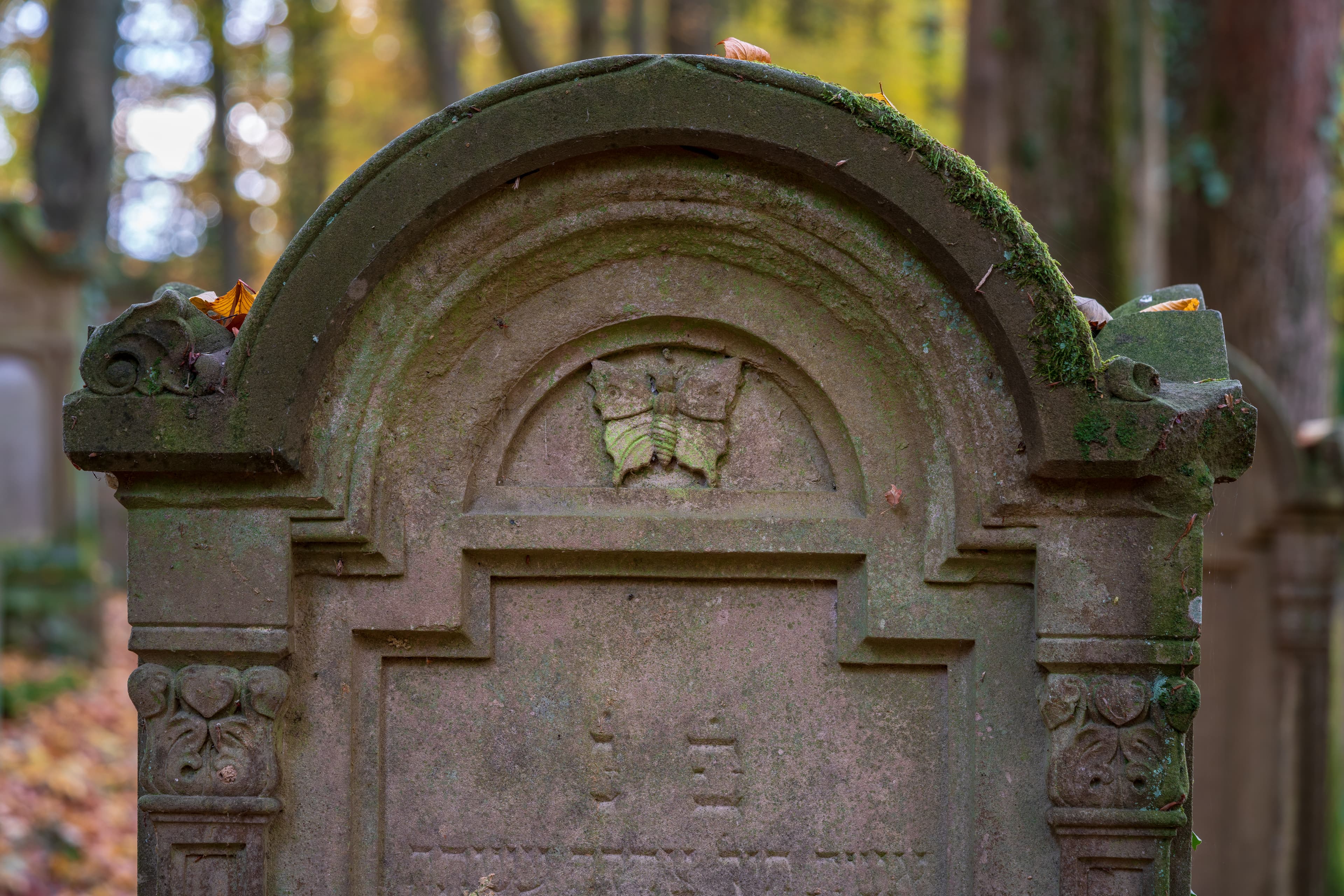 N/A (Stylized carving)